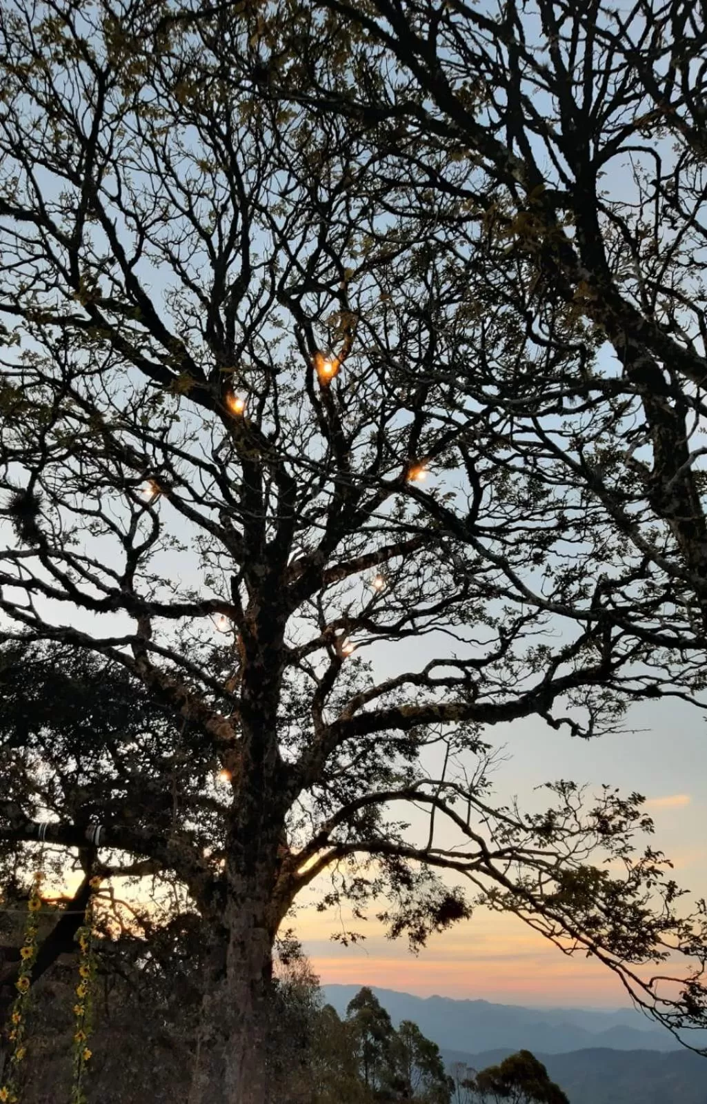 Natural landscape in Pousada Village Por do Sol by Concavus