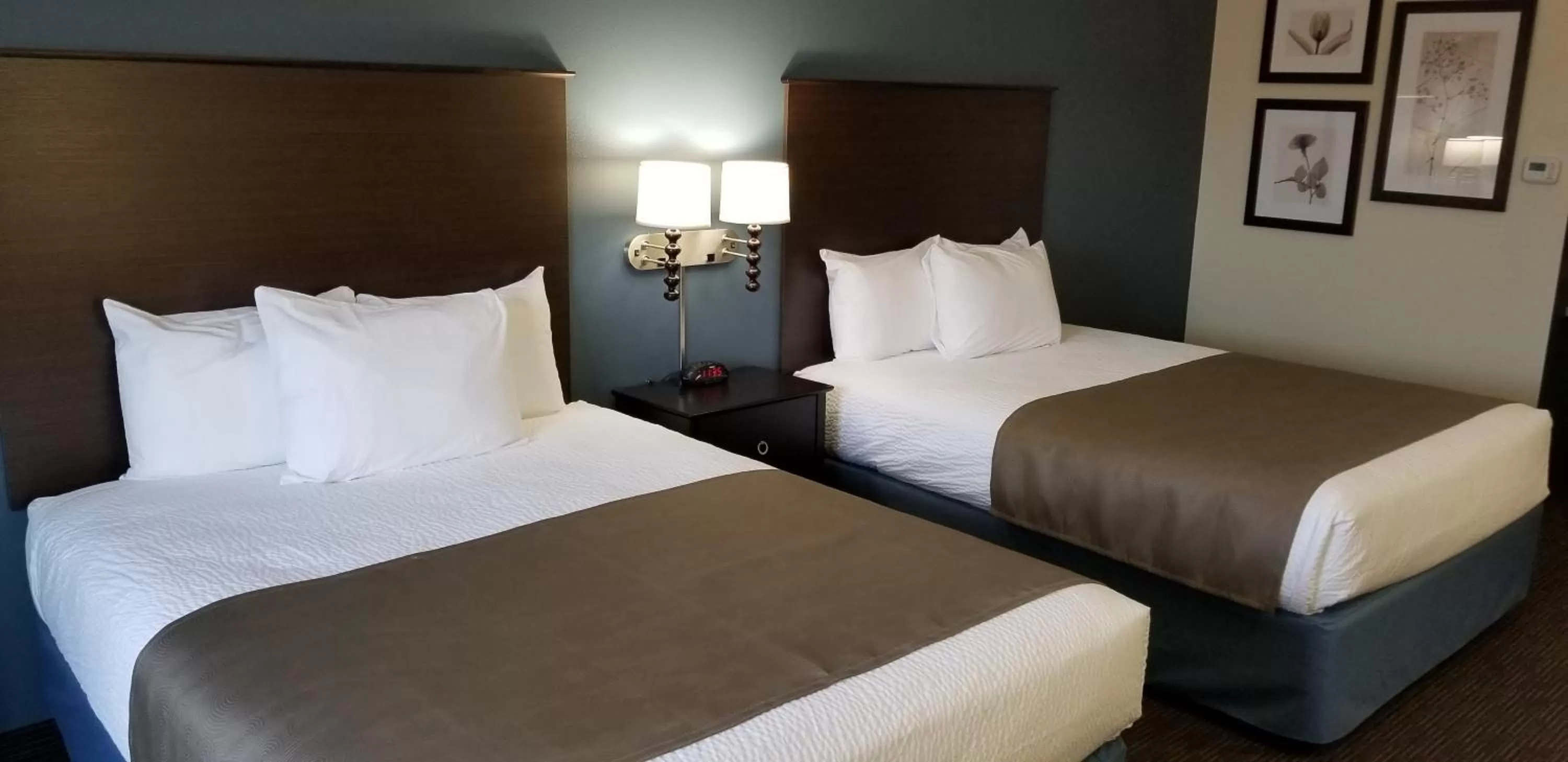 Bed in AmericInn by Wyndham Sioux Falls North