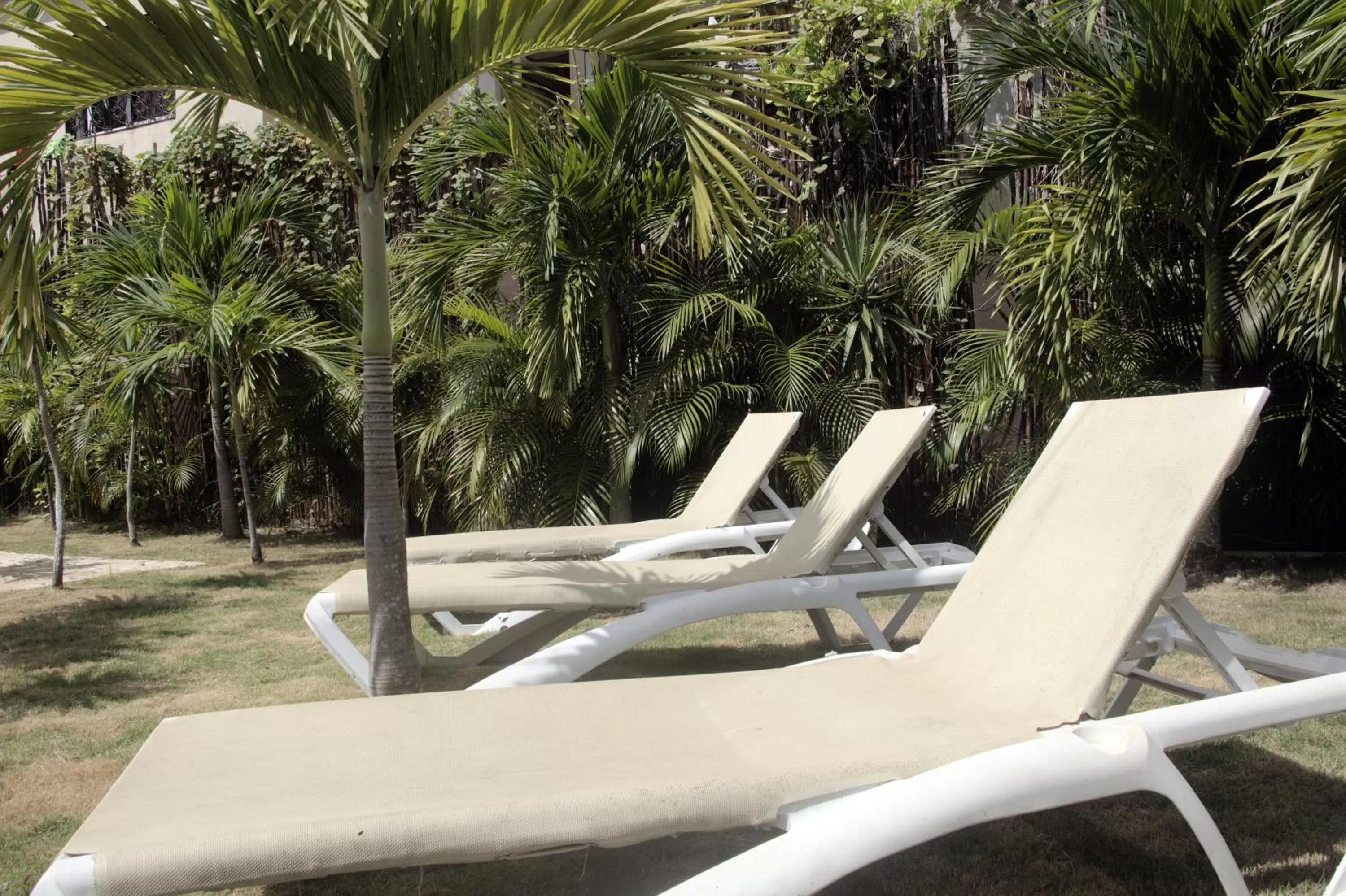 Day in Hotel & Hostal Casa de Luz Cancun