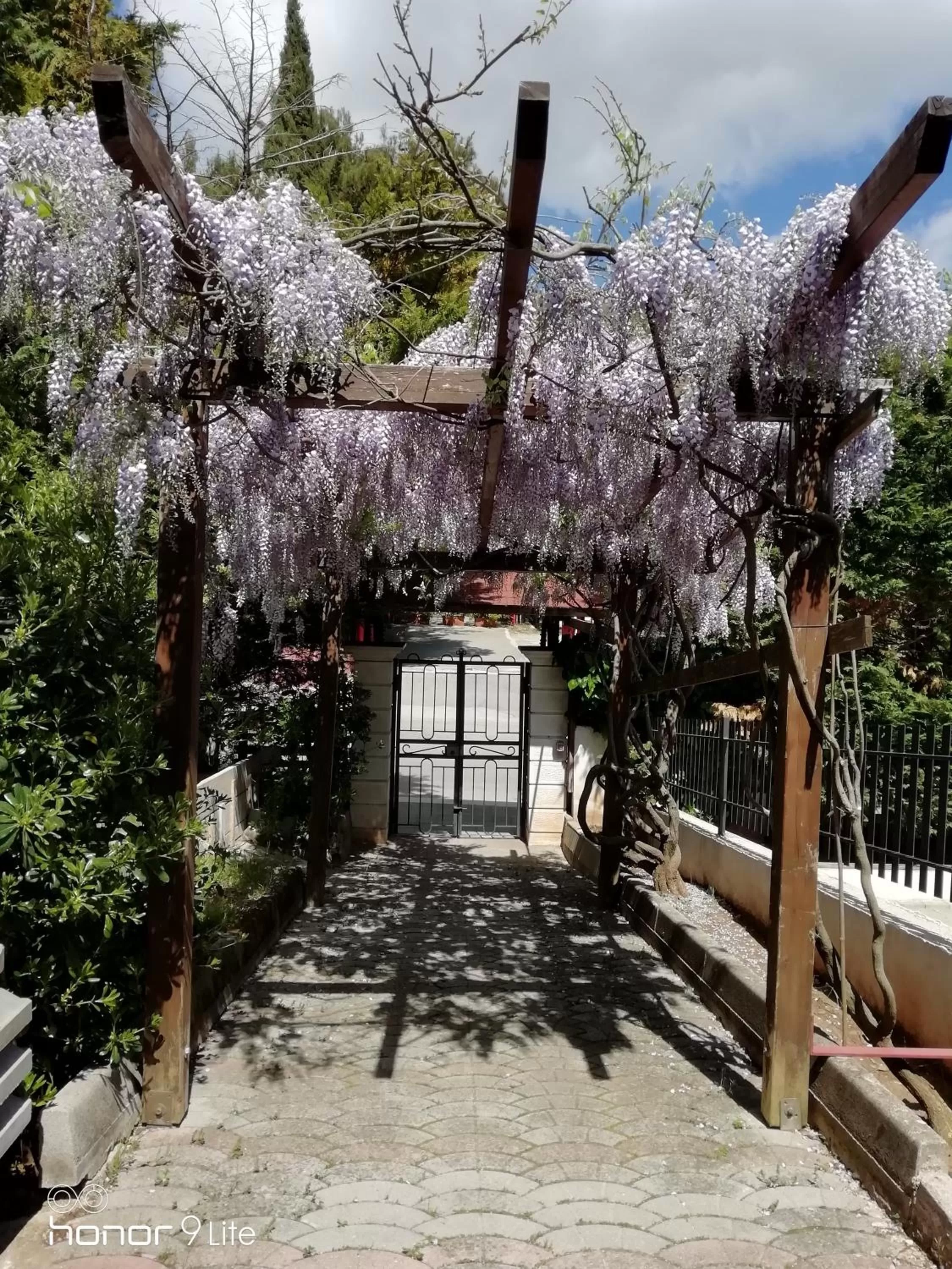 Facade/entrance, Property Building in Villa Biancofiore