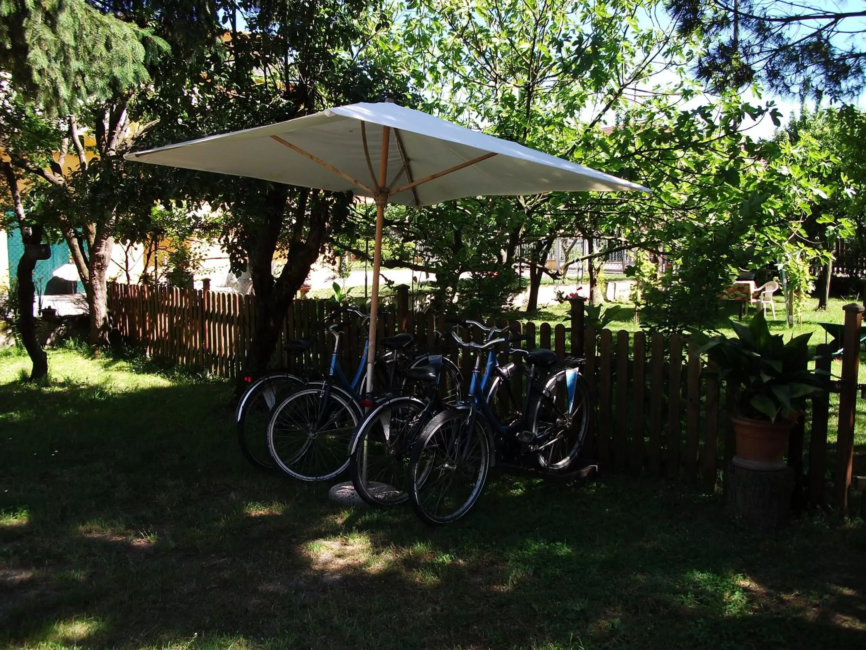 Cycling, Garden in Bed And Breakfast Di Manu