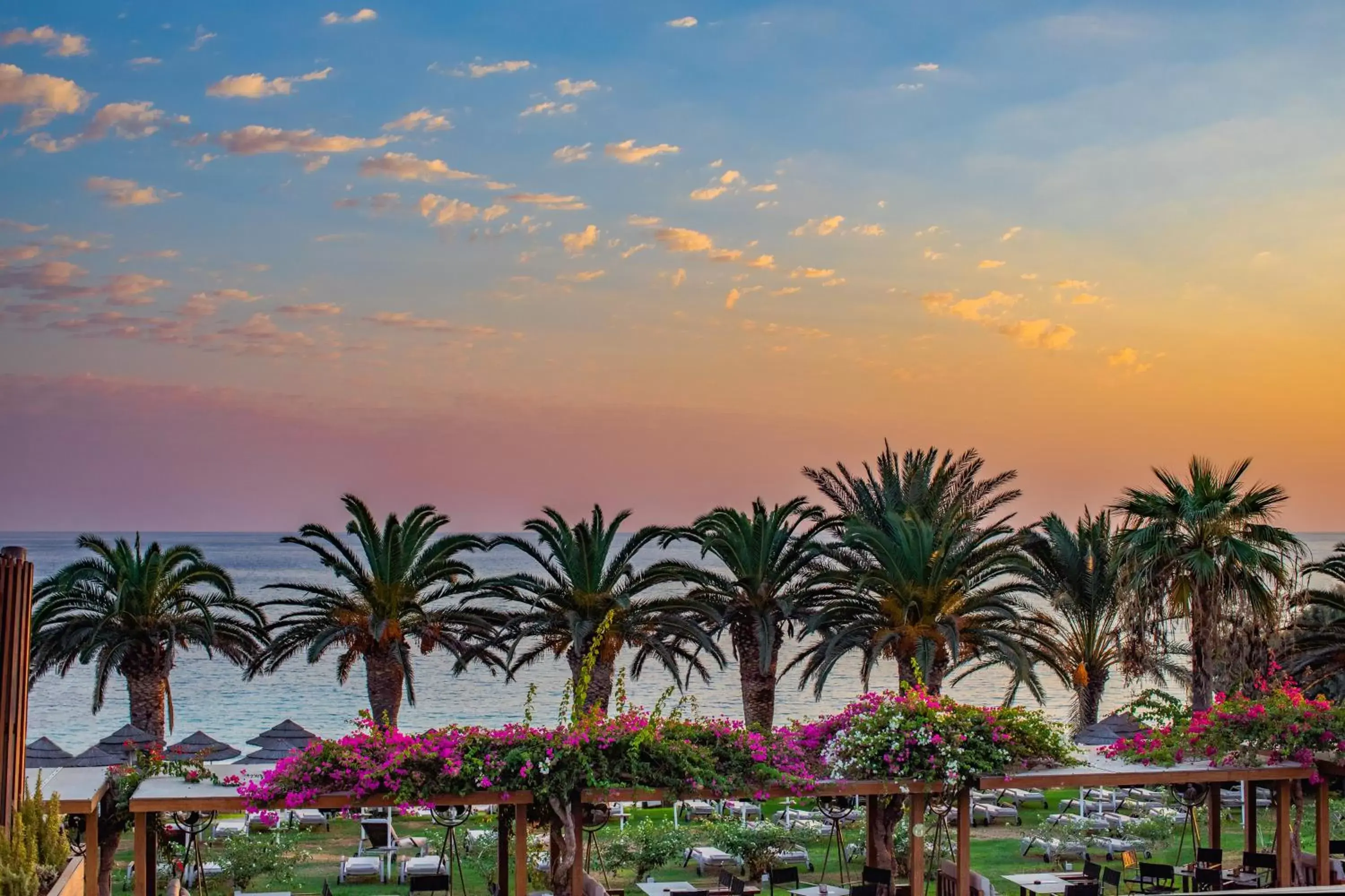 Garden in Alion Beach Hotel