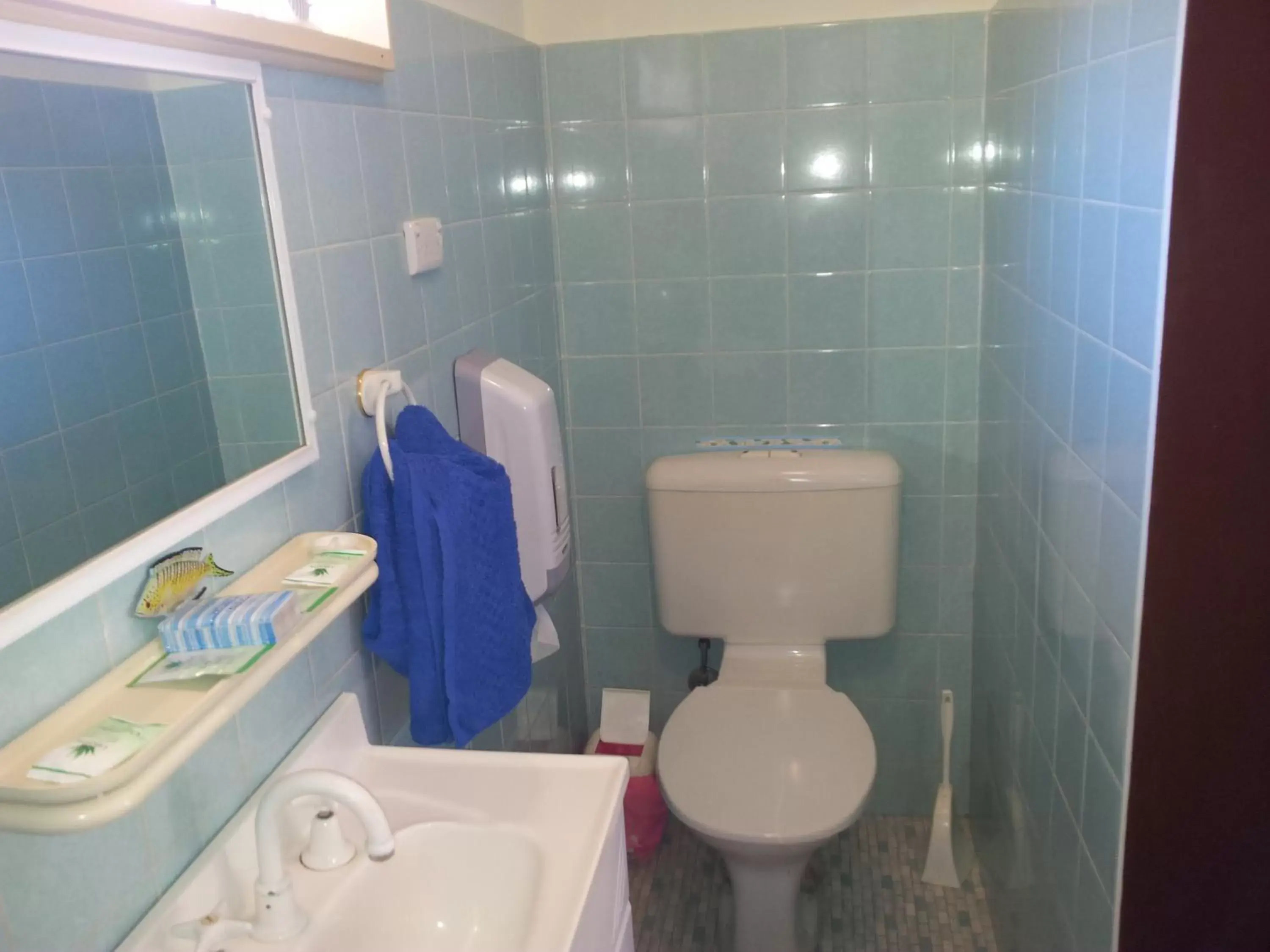 Toilet, Bathroom in Breeze Inn 13 Princes Highway, Ulladulla