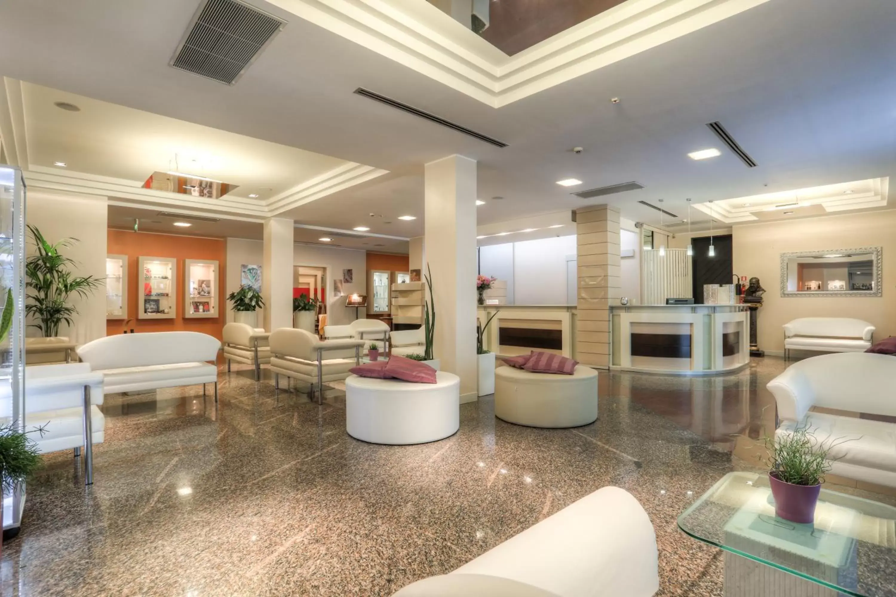 Lobby or reception, Lobby/Reception in Hotel Boemia