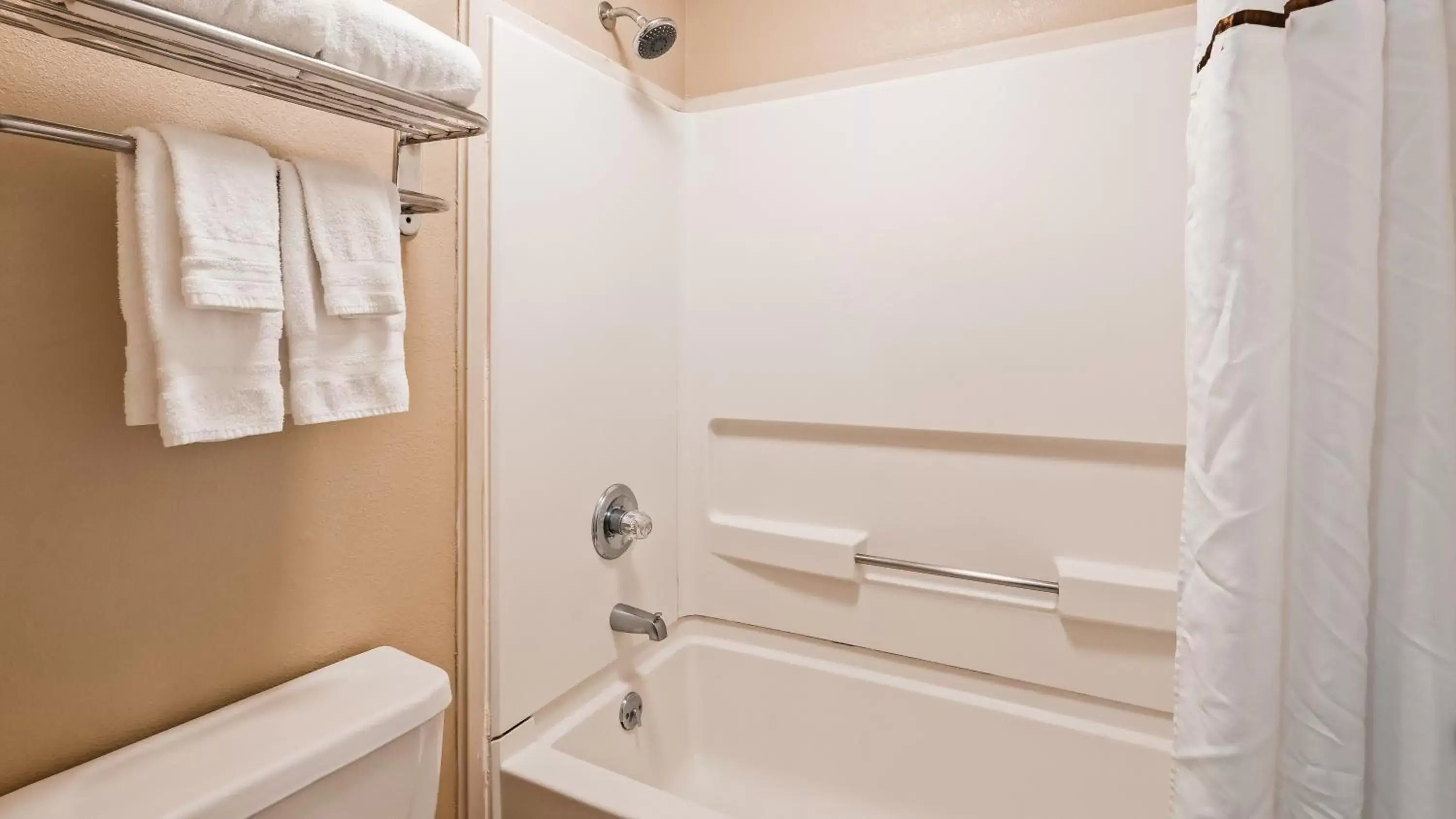 Bathroom in SureStay Plus Hotel by Best Western Jackson