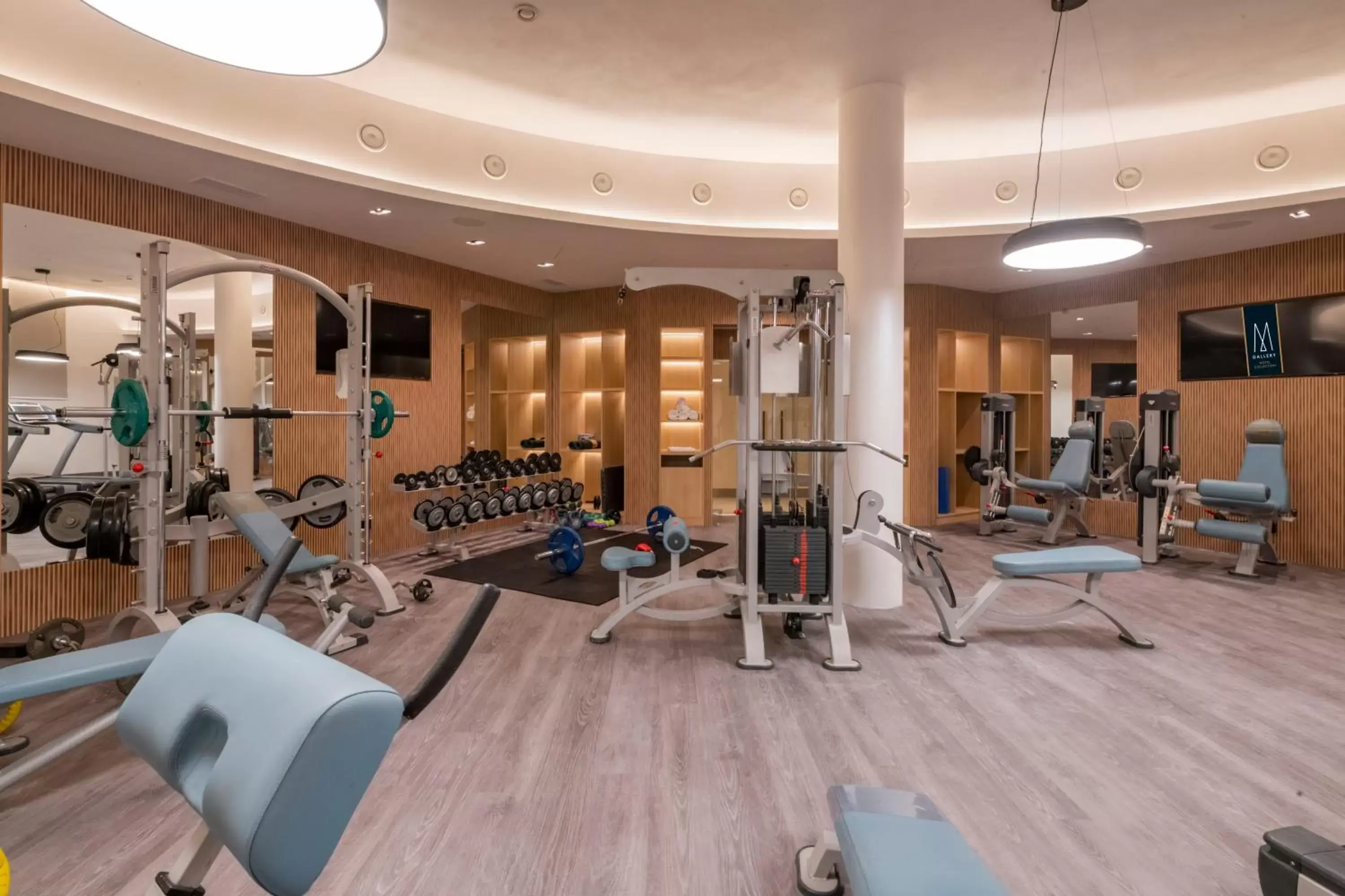 Fitness centre/facilities, Fitness Center/Facilities in Maison Sofia - MGallery