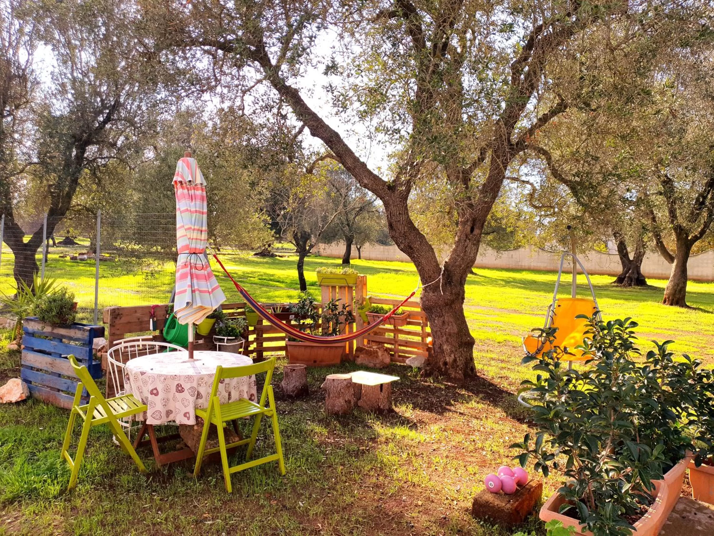 Garden in TRULLO CARMEN