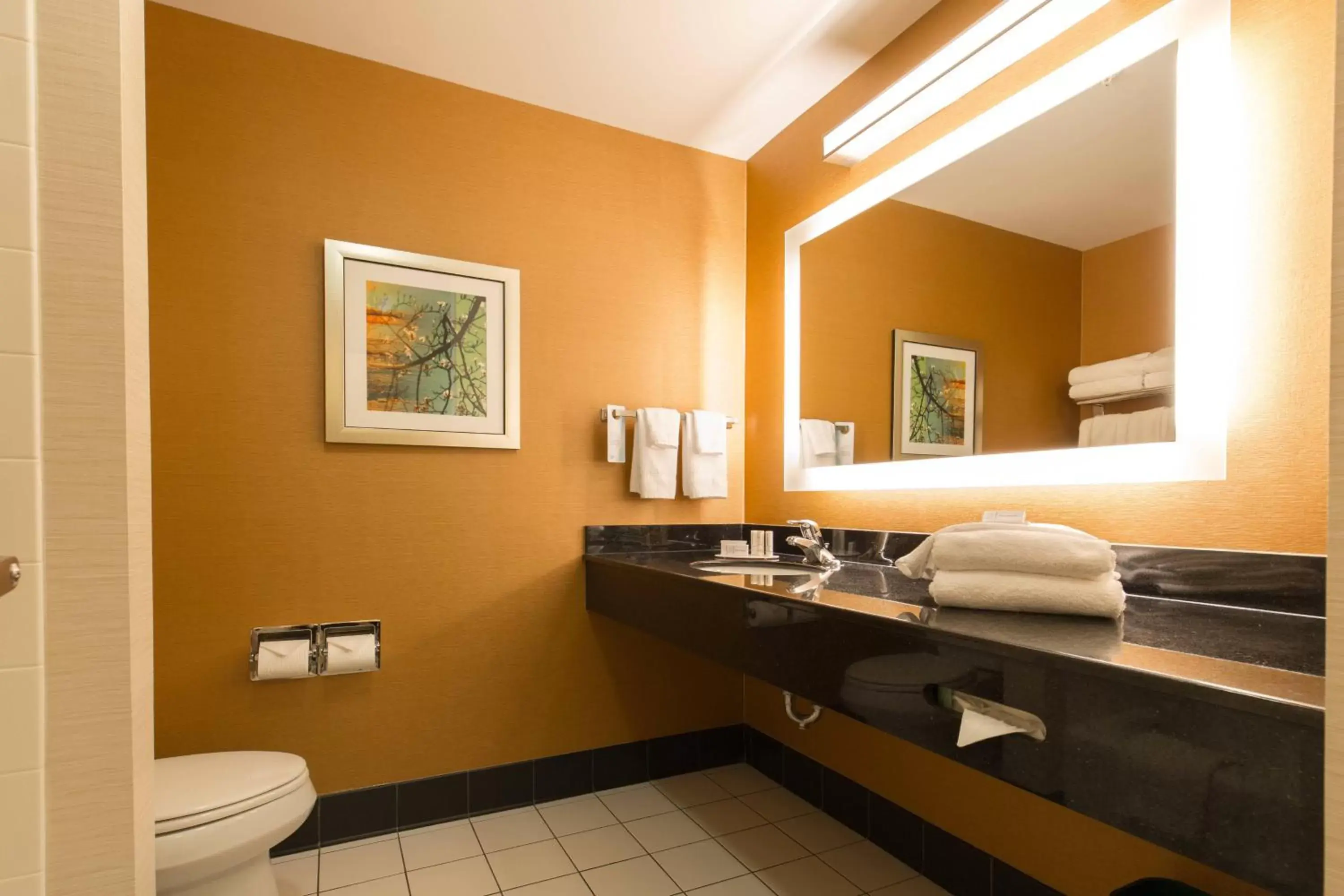 Bathroom in Fairfield Inn and Suites by Marriott Portsmouth Exeter