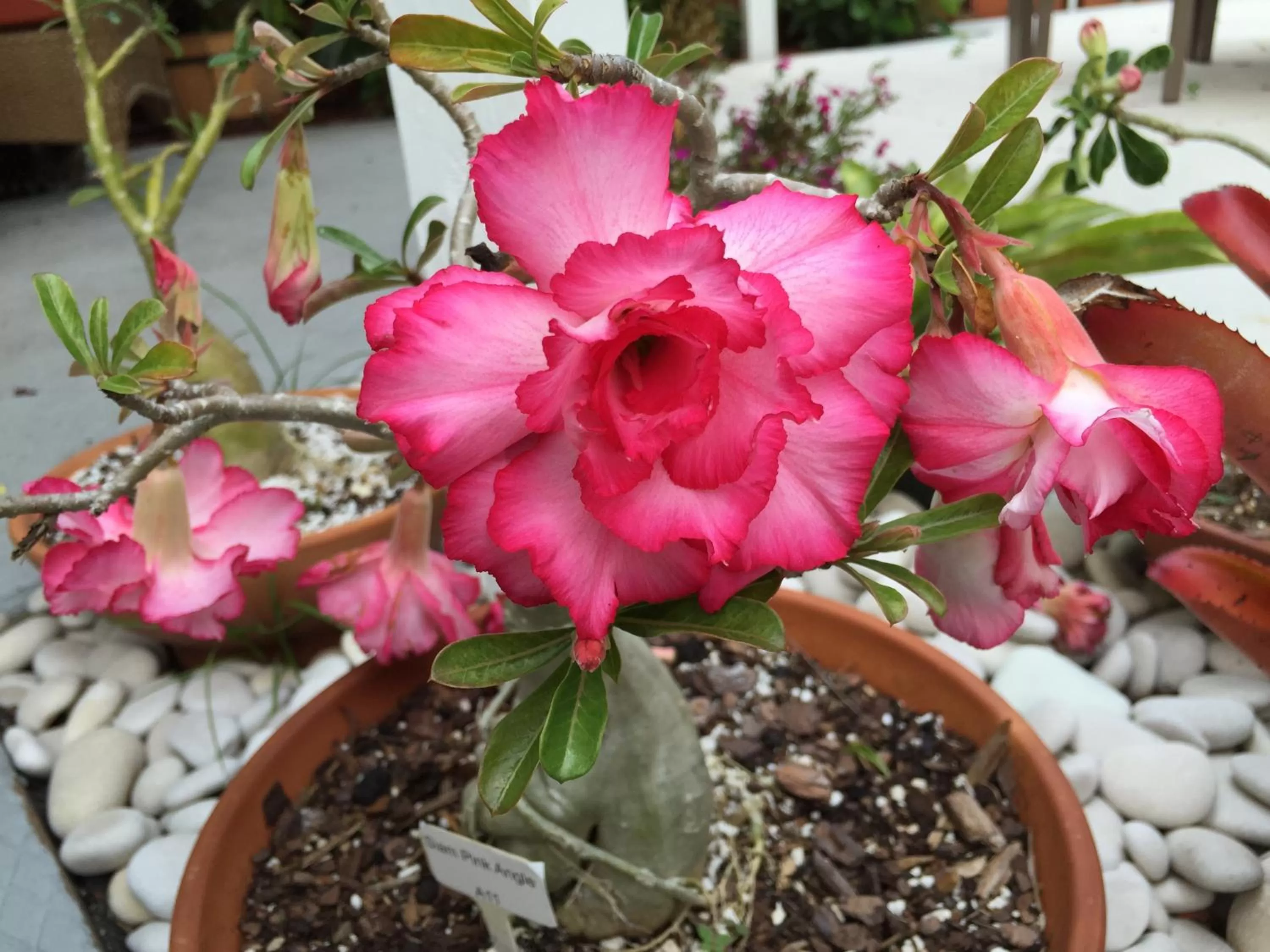 Decorative detail in Downtown Hollywood Boutique Hotel