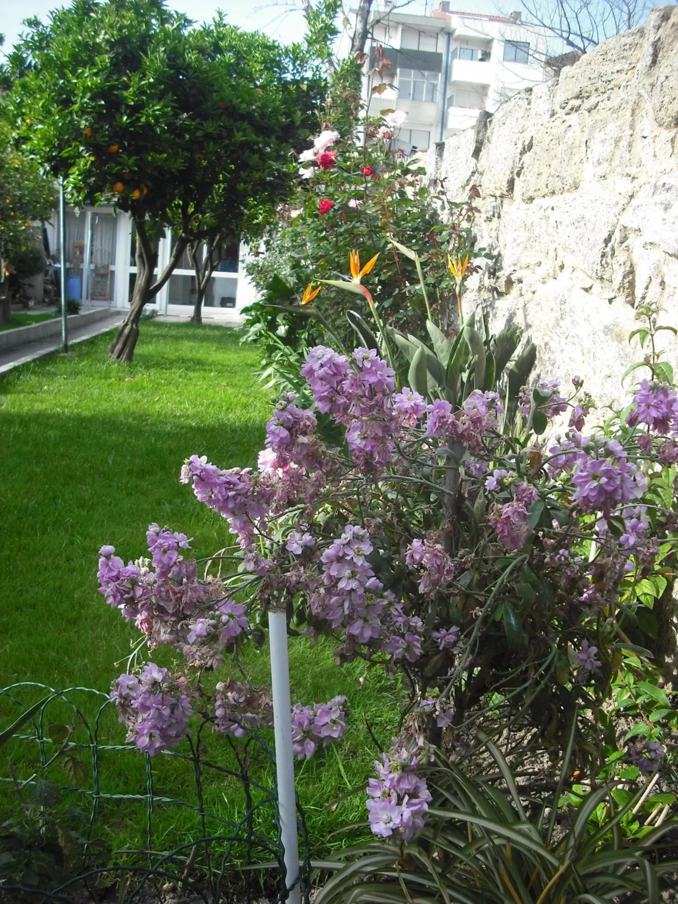 Garden in Hotel Mira D'Aire