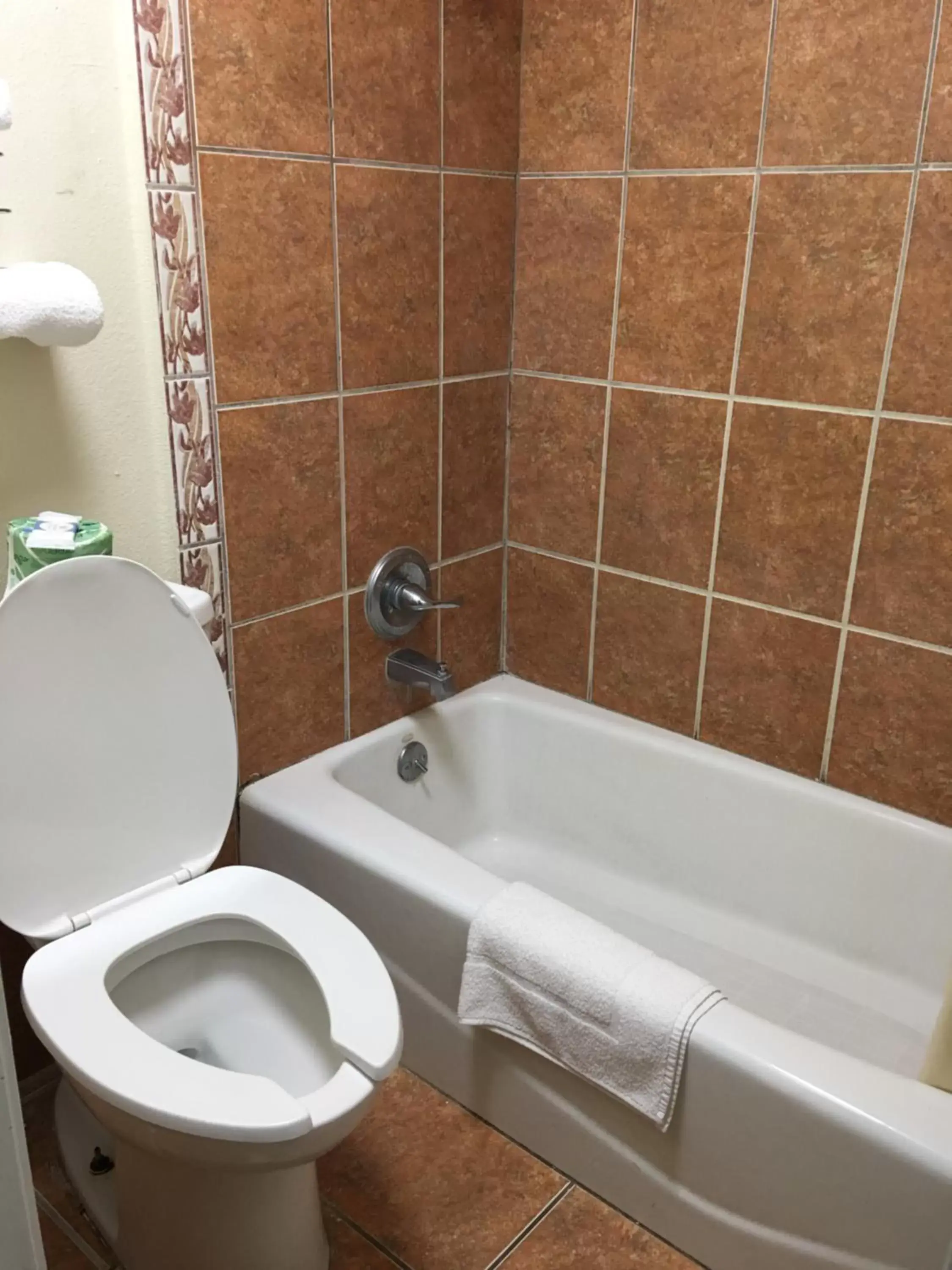 Bathroom in Chaparral Motel