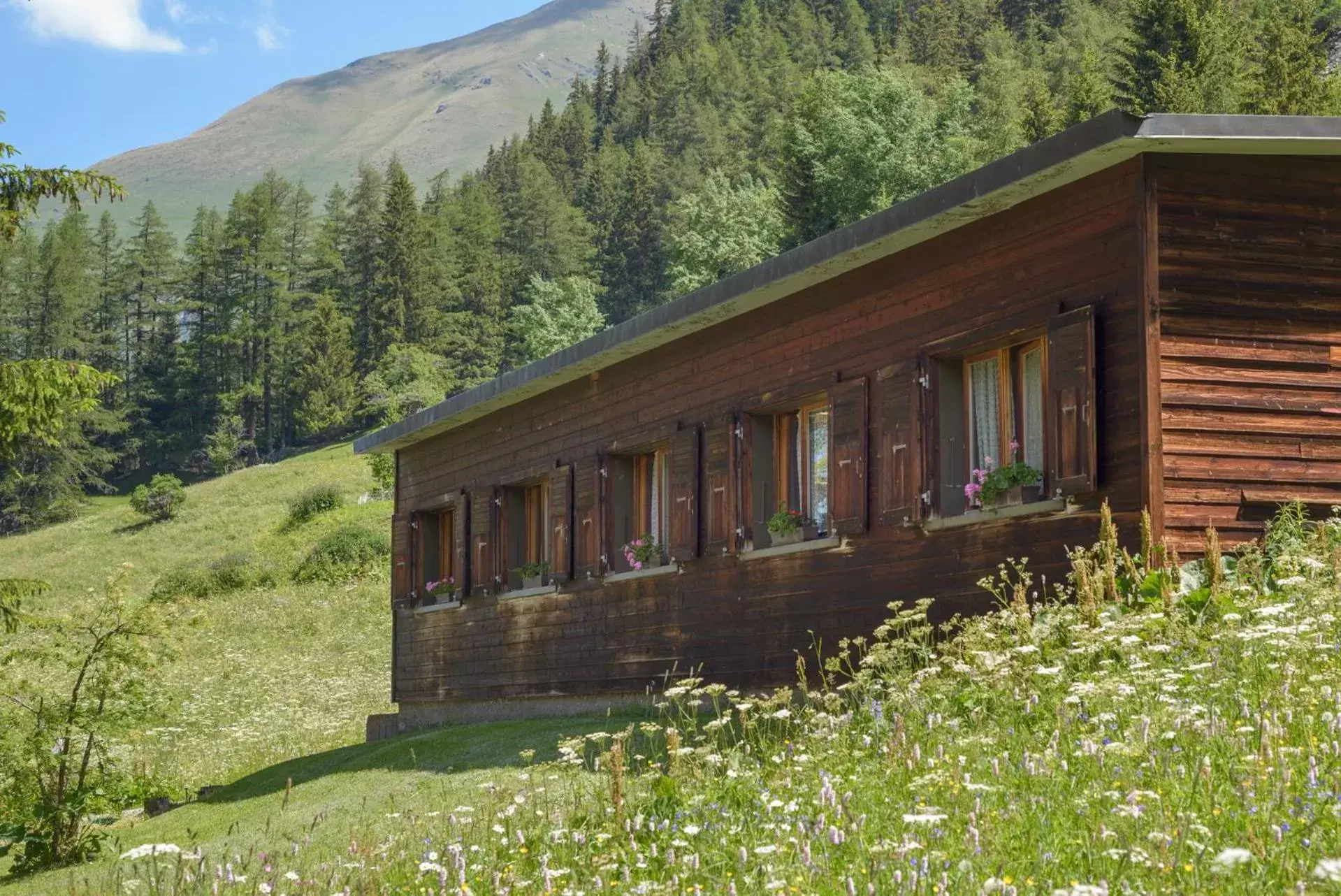 Property Building in Au Bivouac de Napoléon et Spa