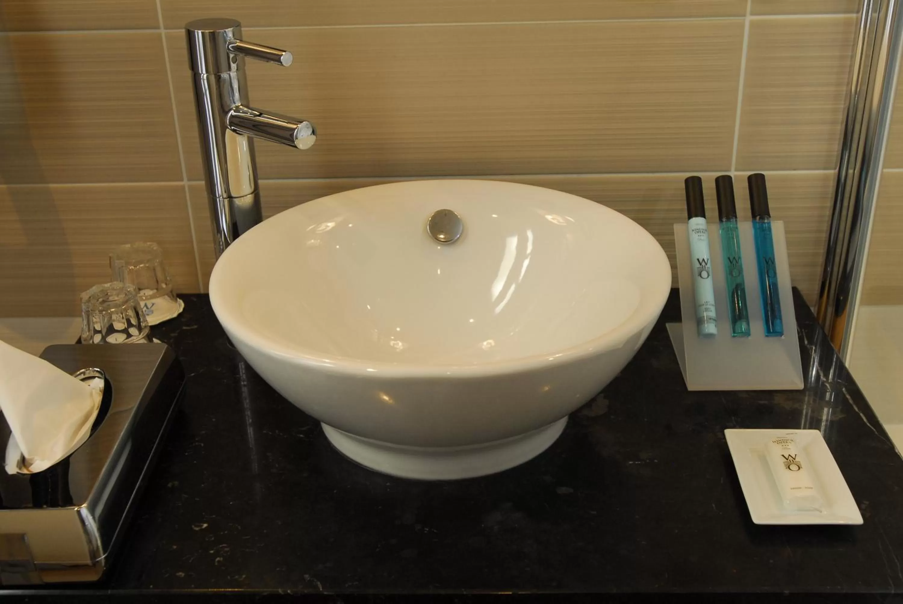 Bathroom in Windsor Opera