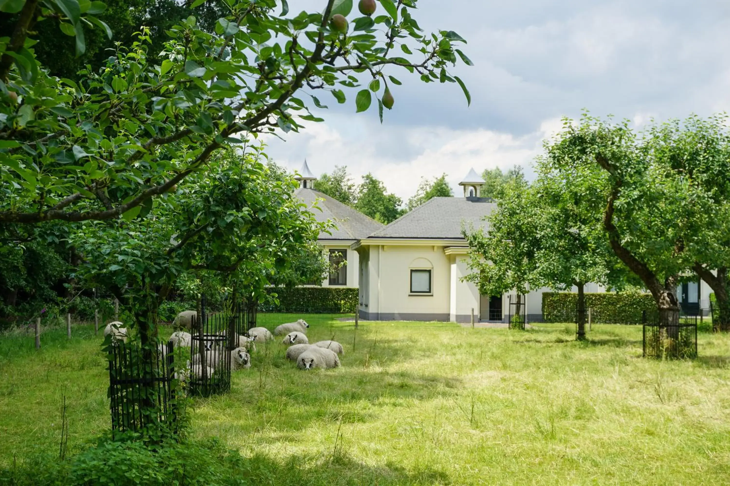 Garden, Property Building in Kasteel De Vanenburg