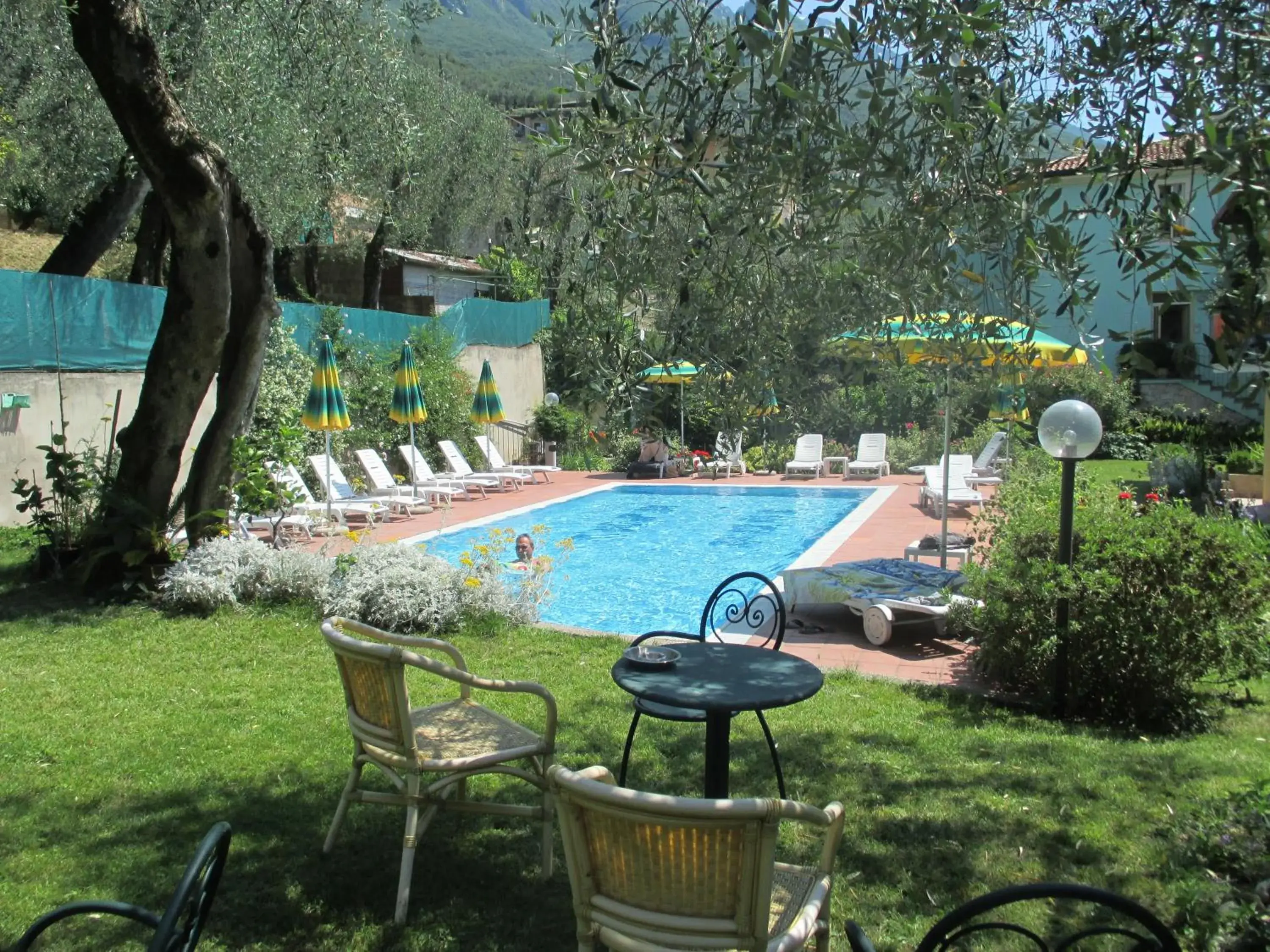 Garden, Swimming Pool in Hotel Casa Popi