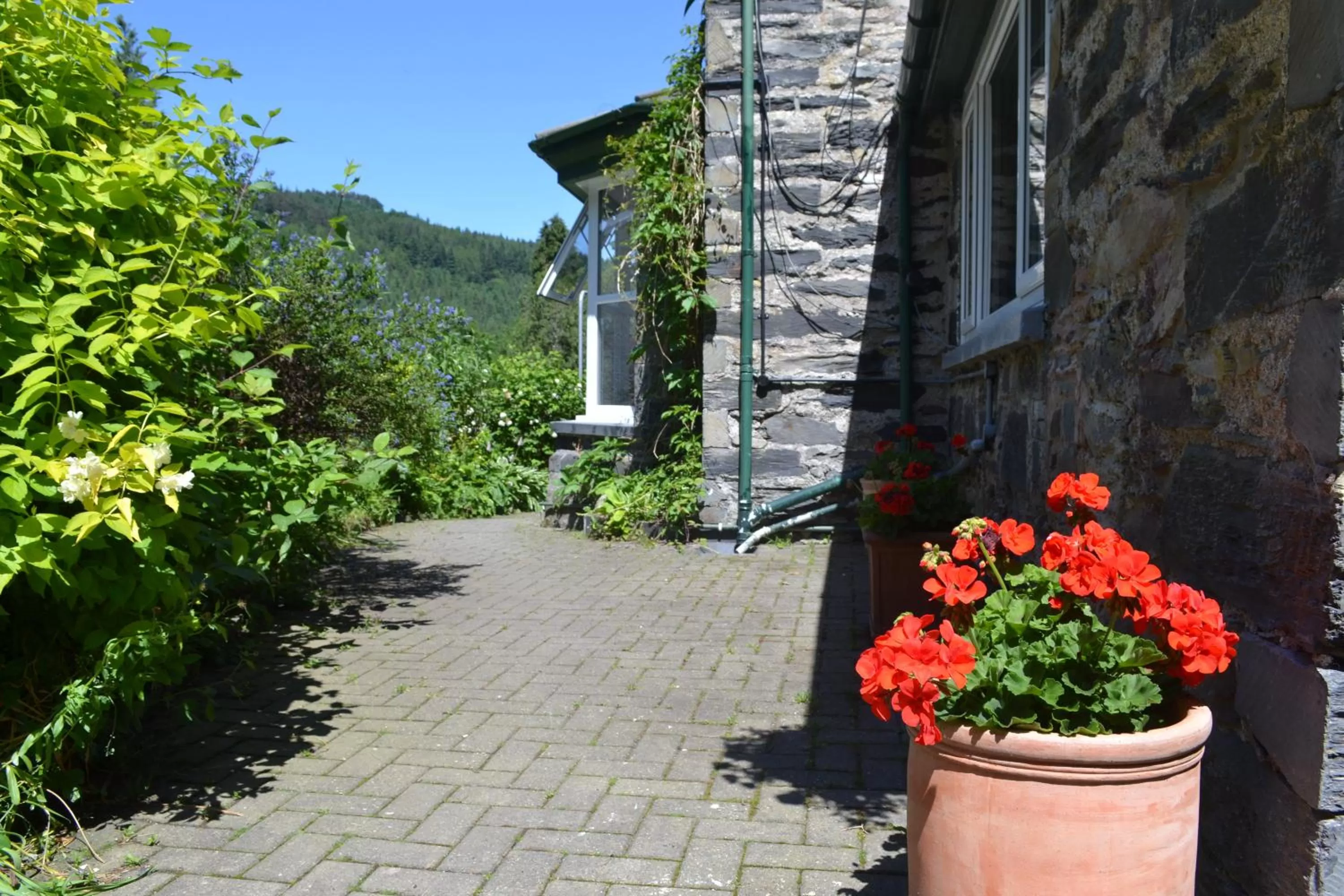 Property building in Coed-y-Fron