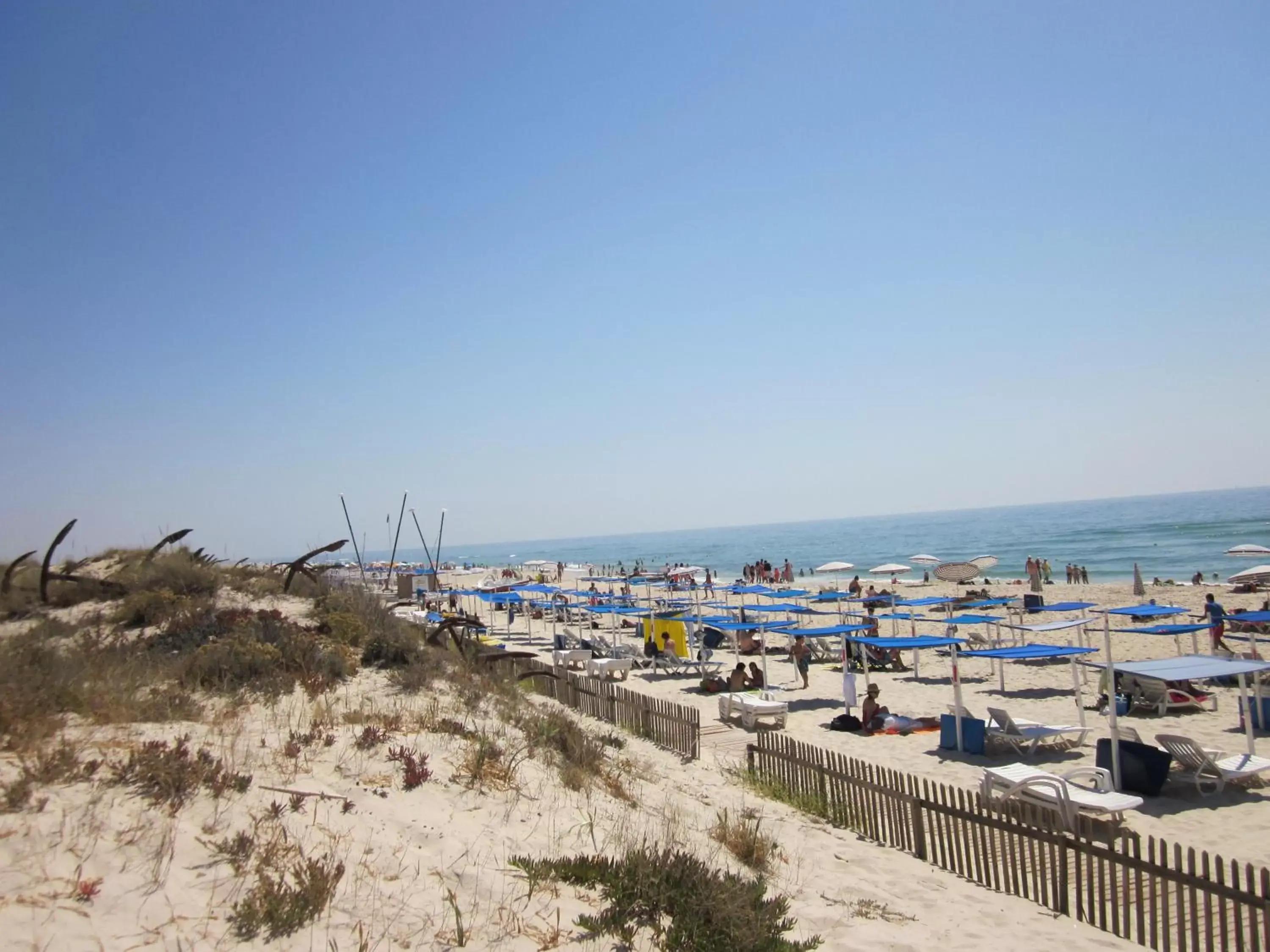 Day, Beach in Pedras D'el Rei