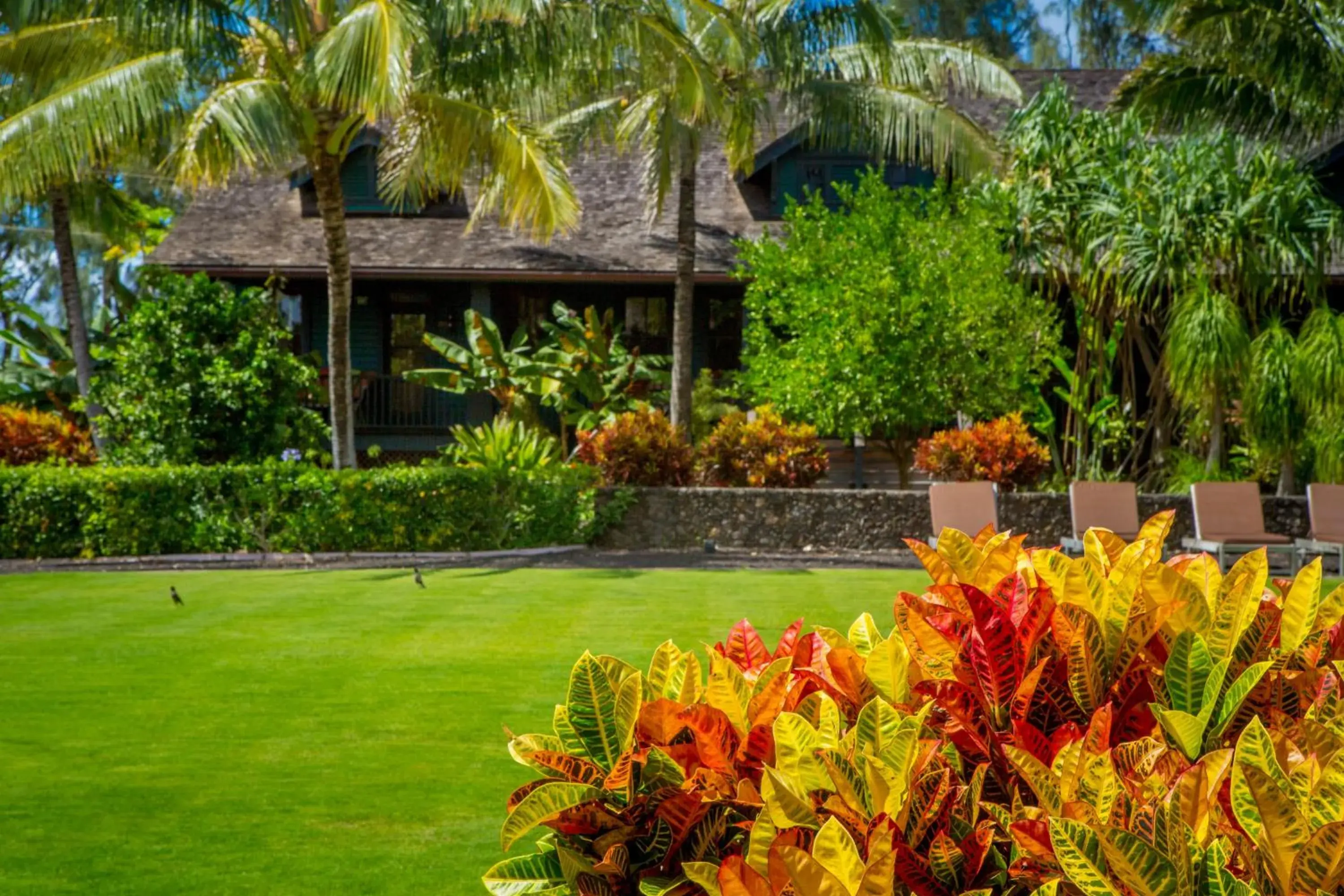 Garden in Lumeria Maui, Educational Retreat Center