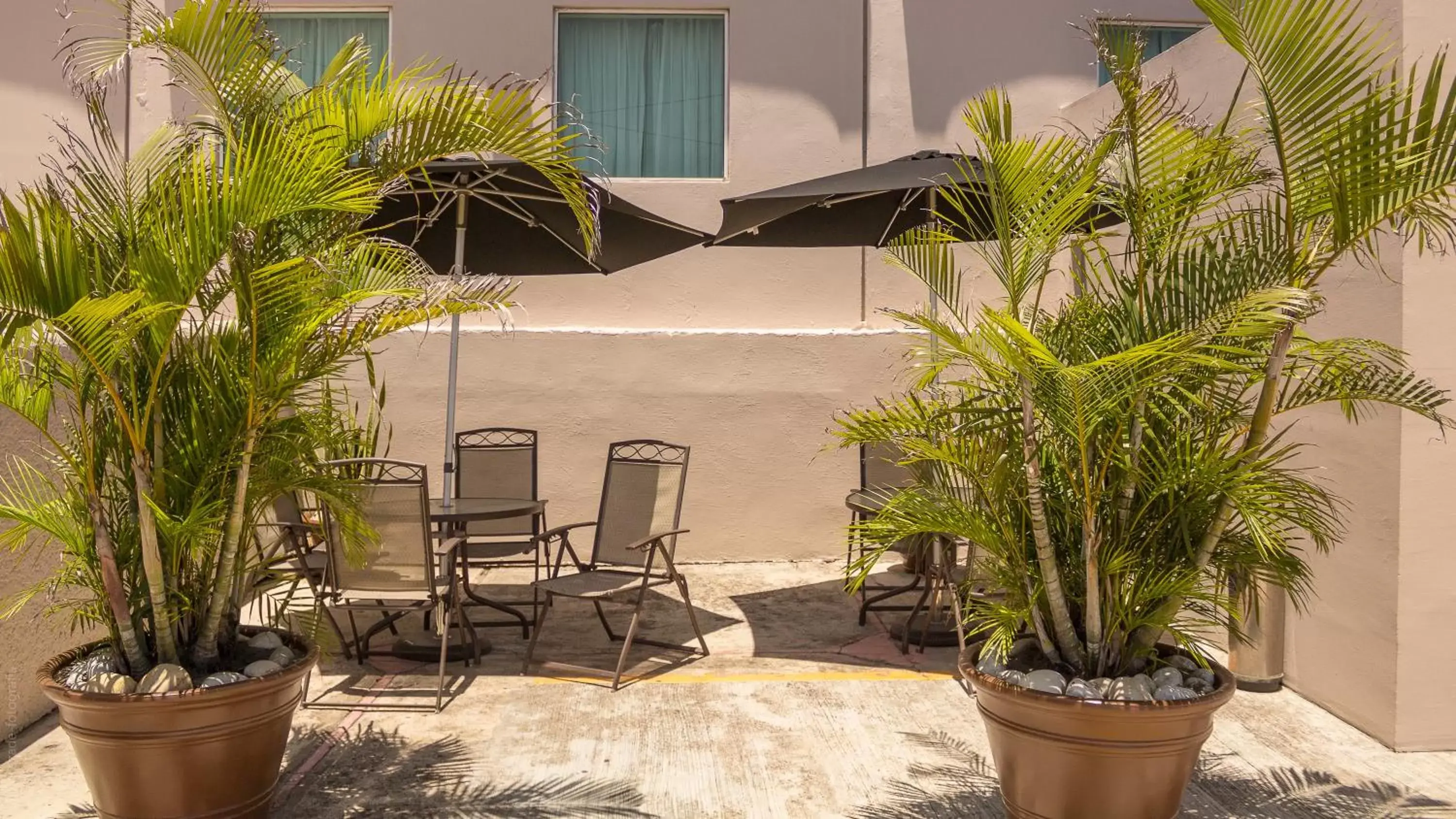 Patio in BONITTO INN® Tampico Aeropuerto