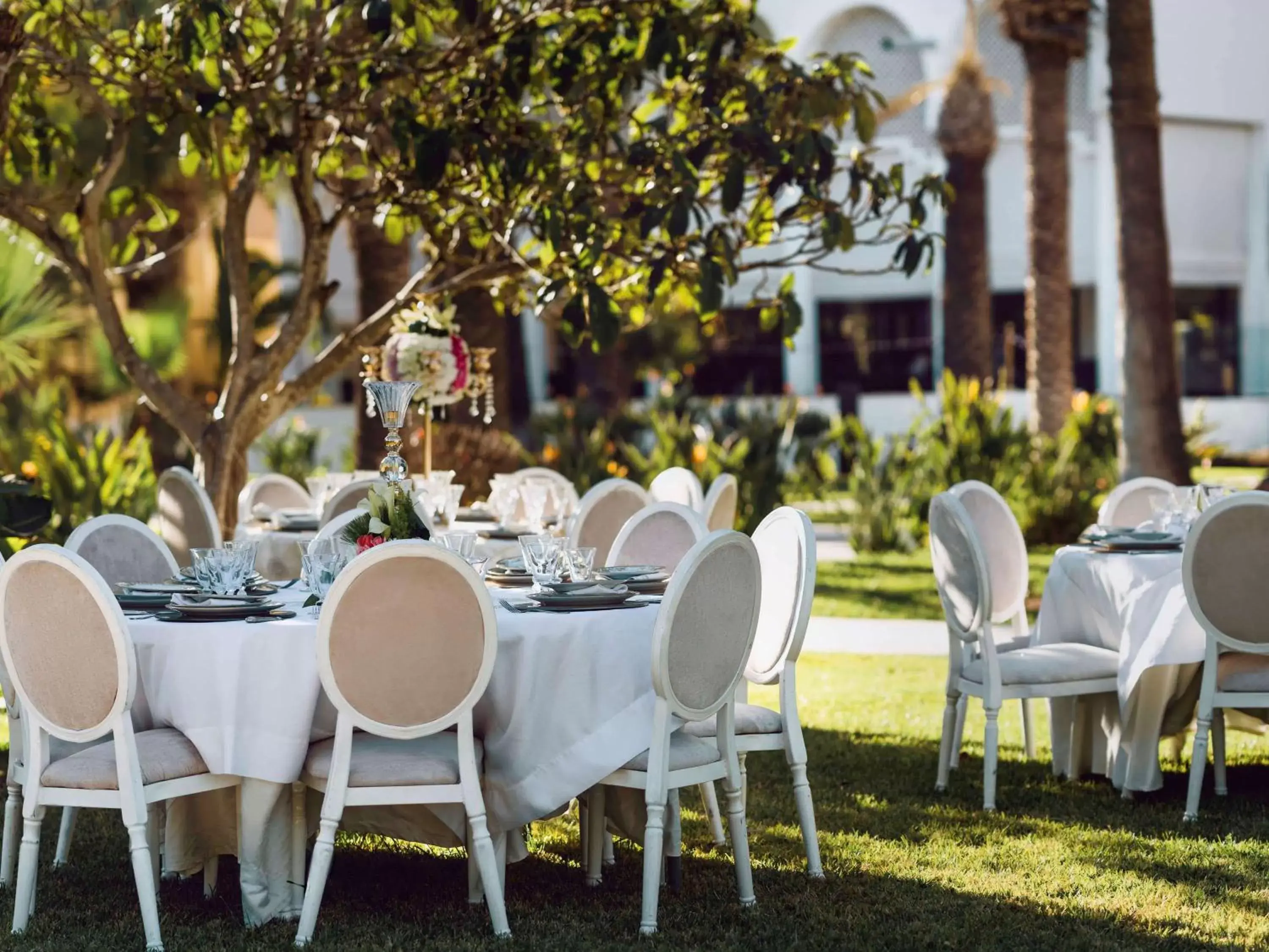 Activities, Banquet Facilities in Sofitel Rabat Jardin Des Roses