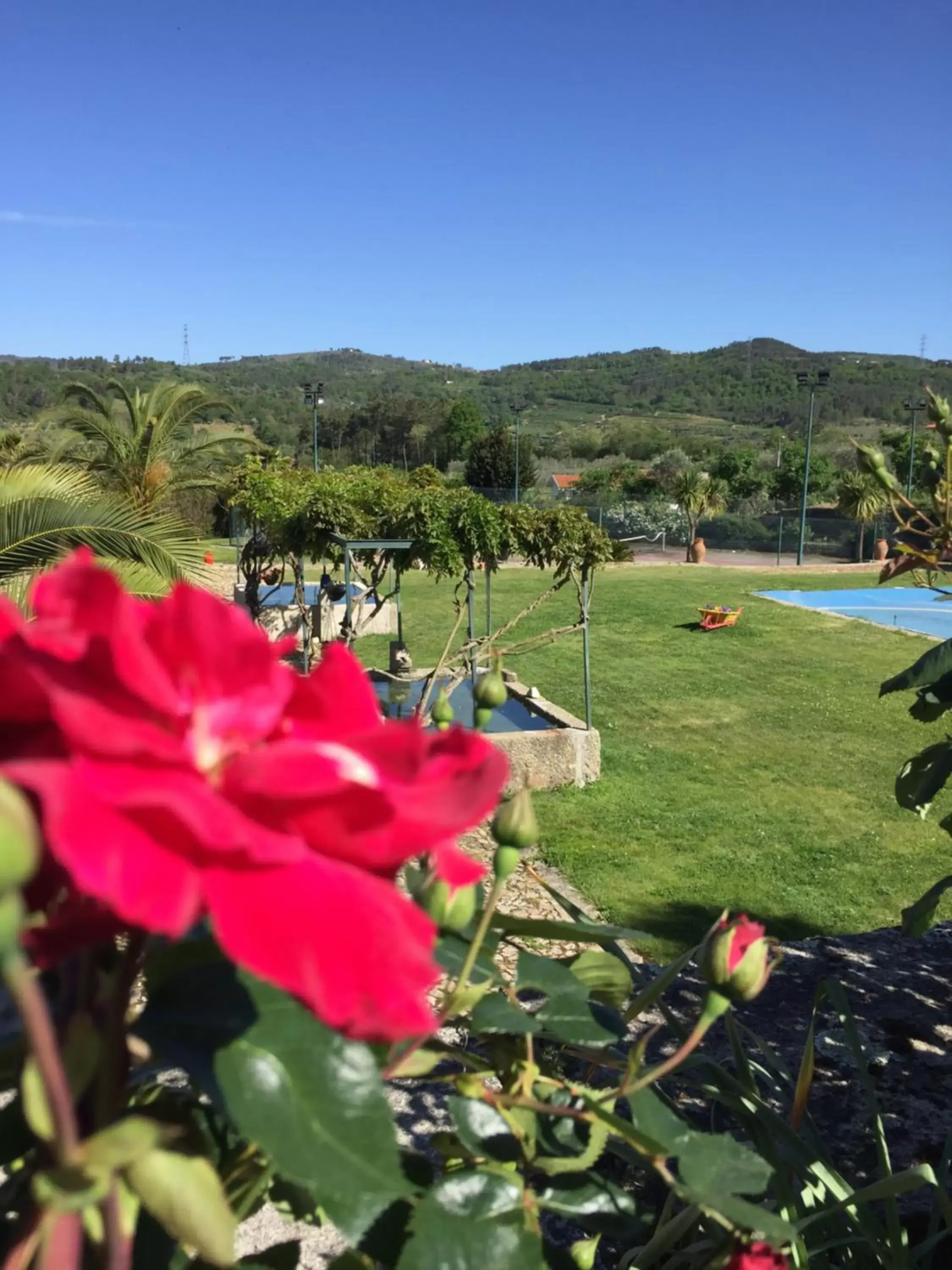 Garden view in Quinta da Vinha Morta