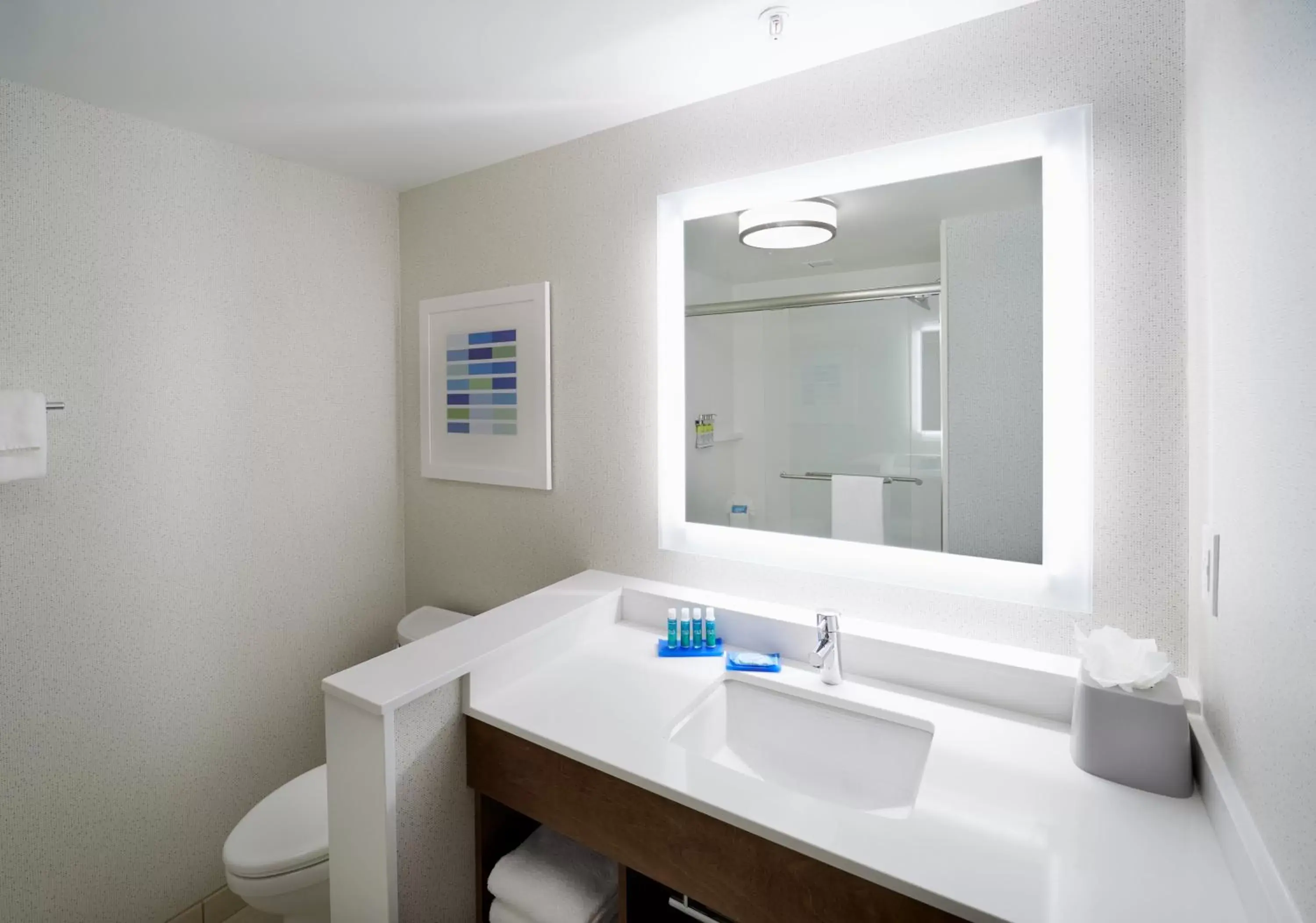 Bathroom in Holiday Inn Express & Suites - Cincinnati North - Liberty Way, an IHG Hotel