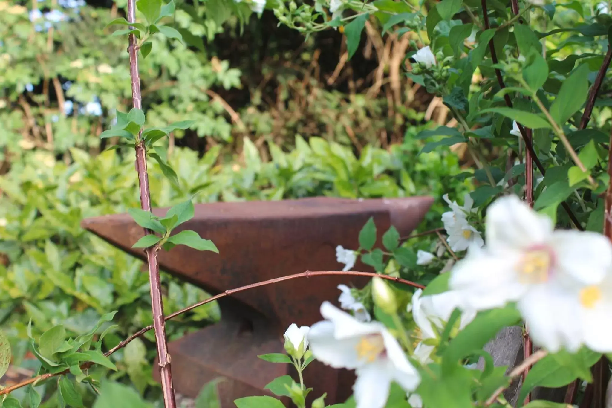 Garden in B&B Johannes-Hoeve