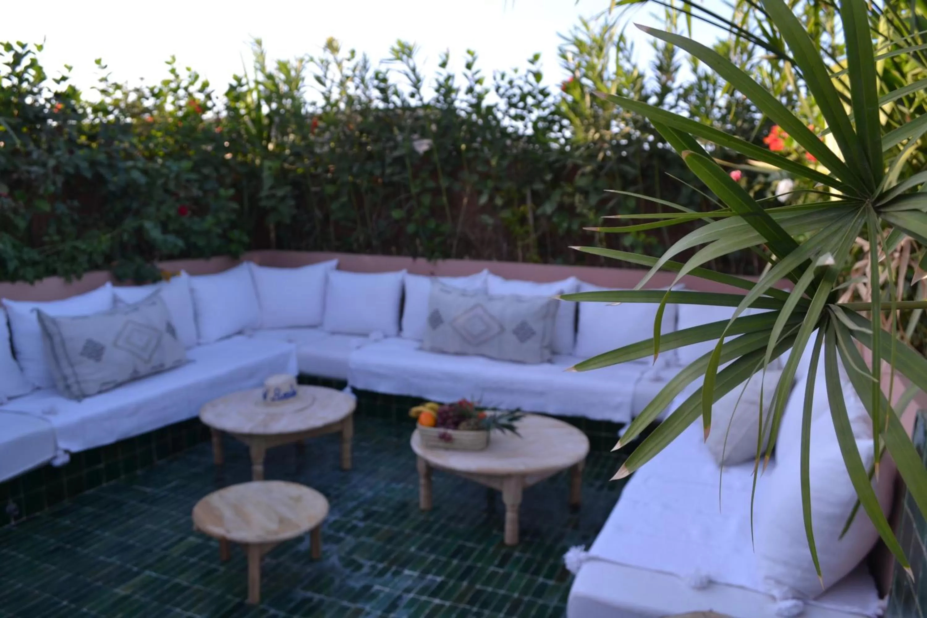 Patio in Riad Beata Bed & Breakfast