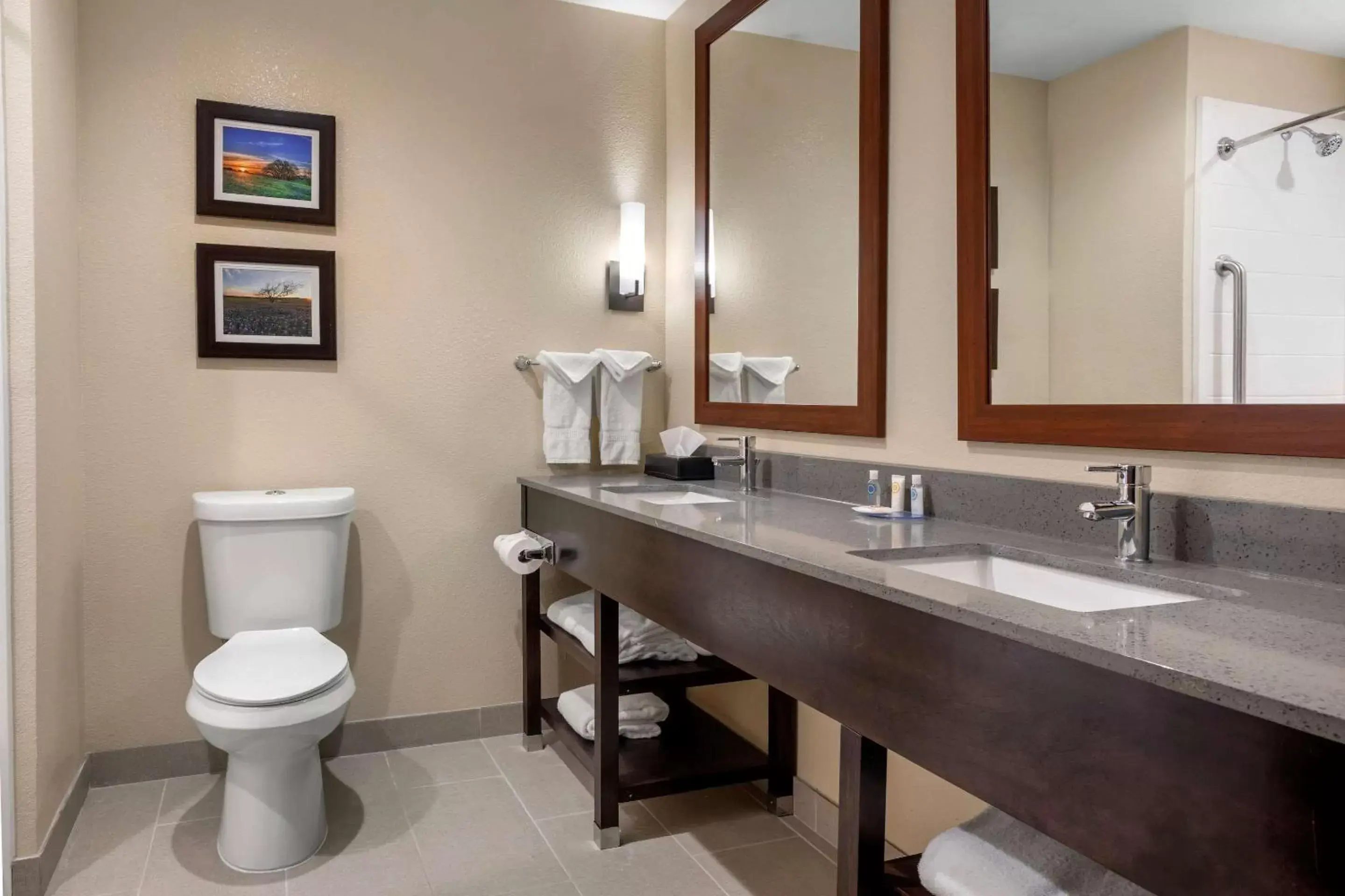 Toilet, Bathroom in Comfort Inn & Suites