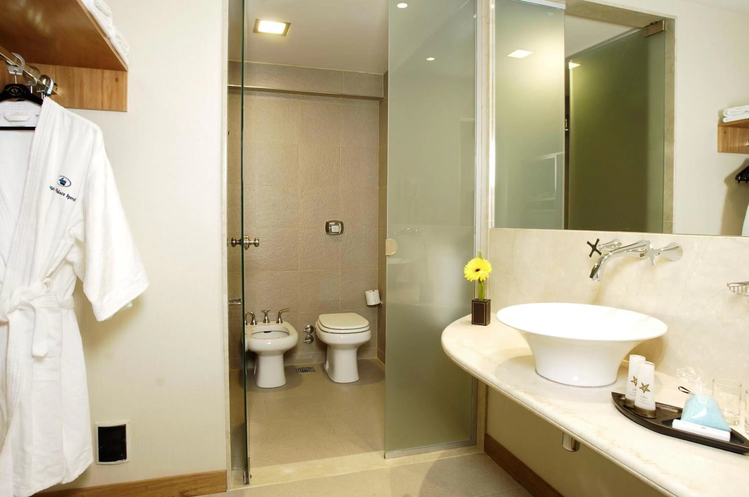 Toilet in Regente Palace Hotel