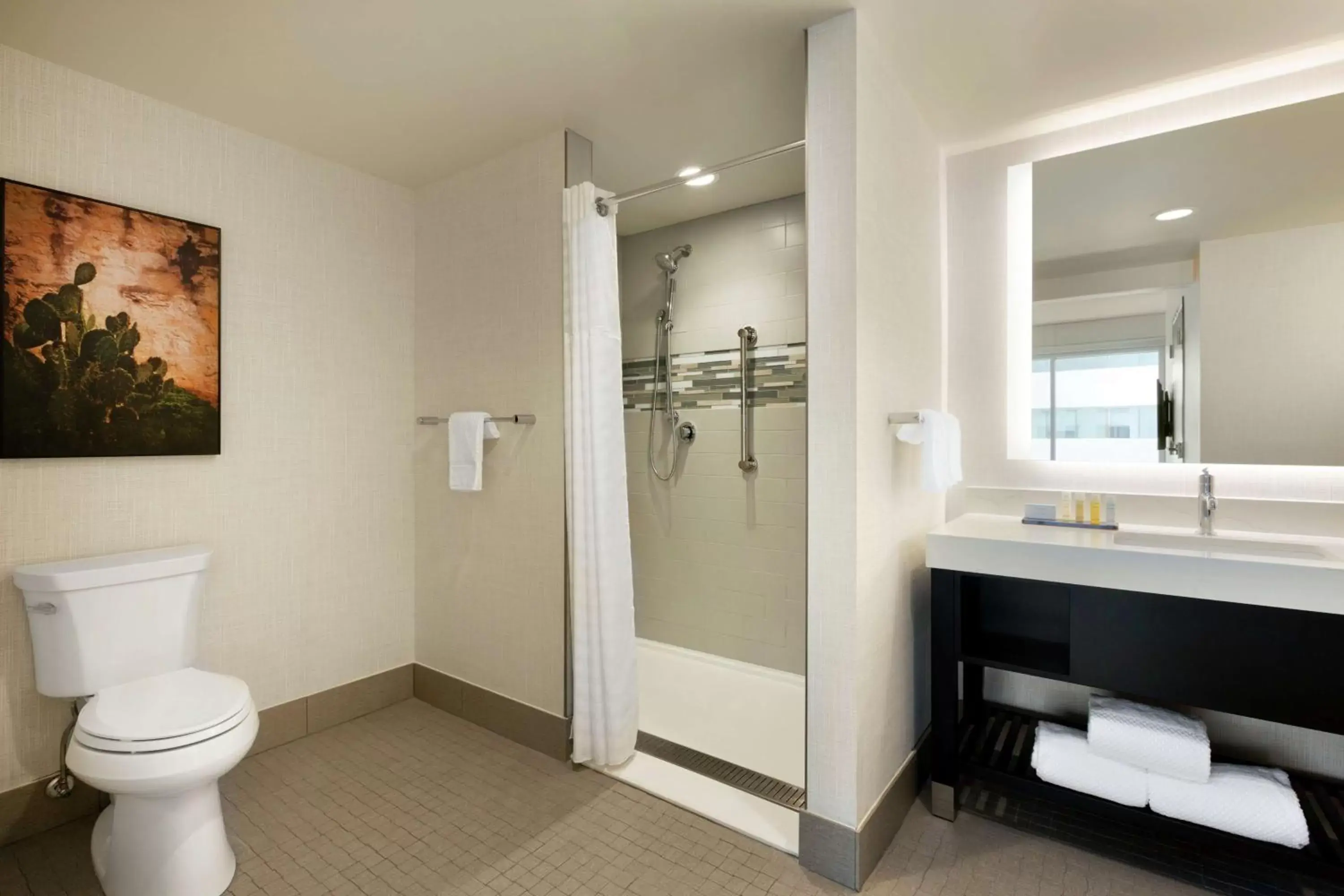 Bathroom in Embassy Suites By Hilton San Antonio Landmark