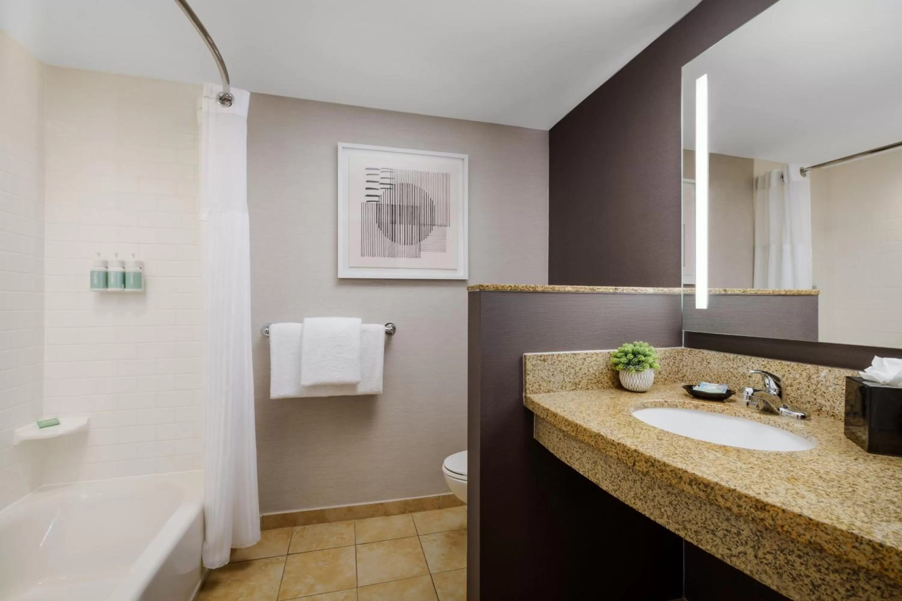 Bathroom in Courtyard Keene Downtown