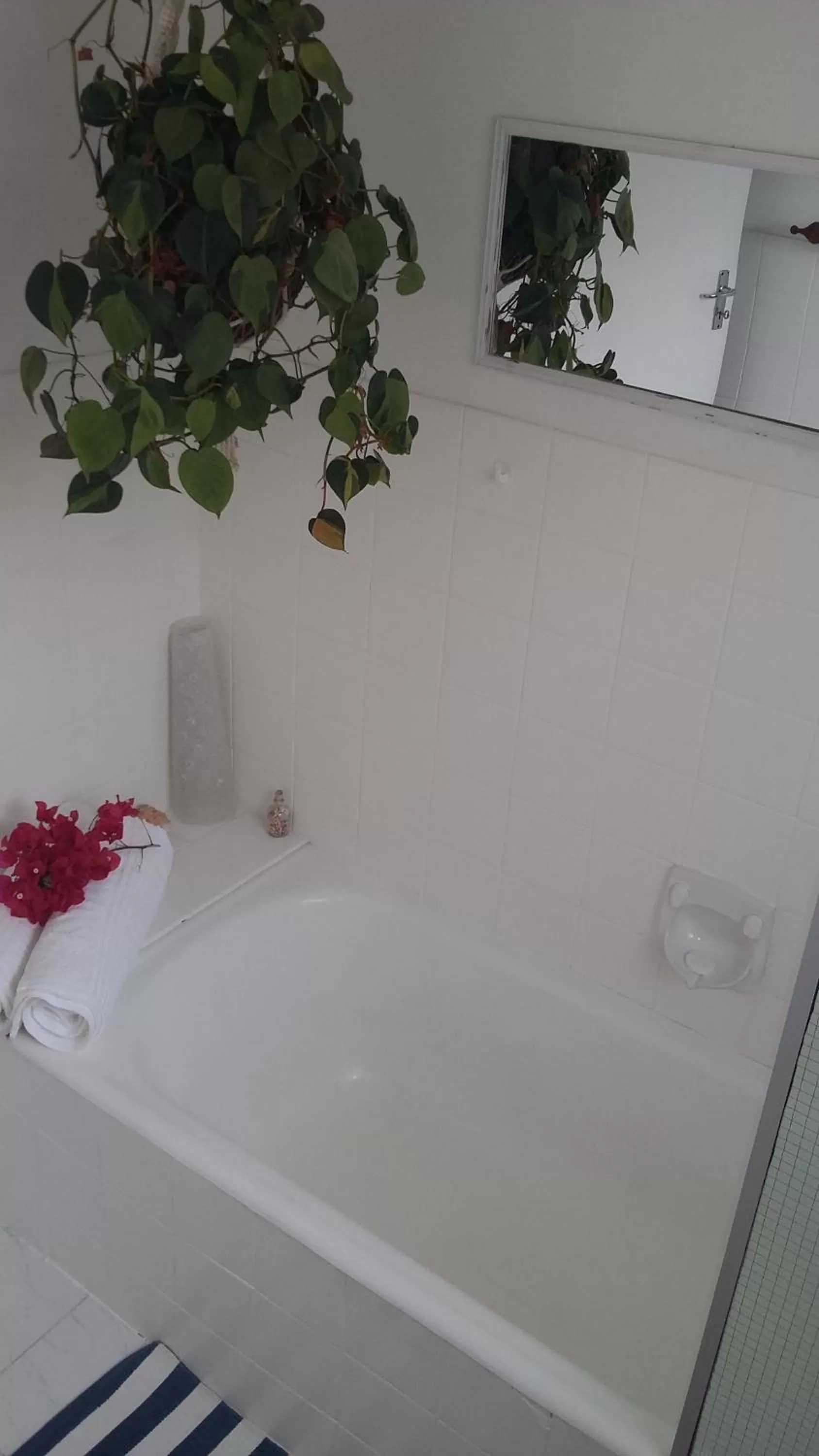 Forword's River Lodge