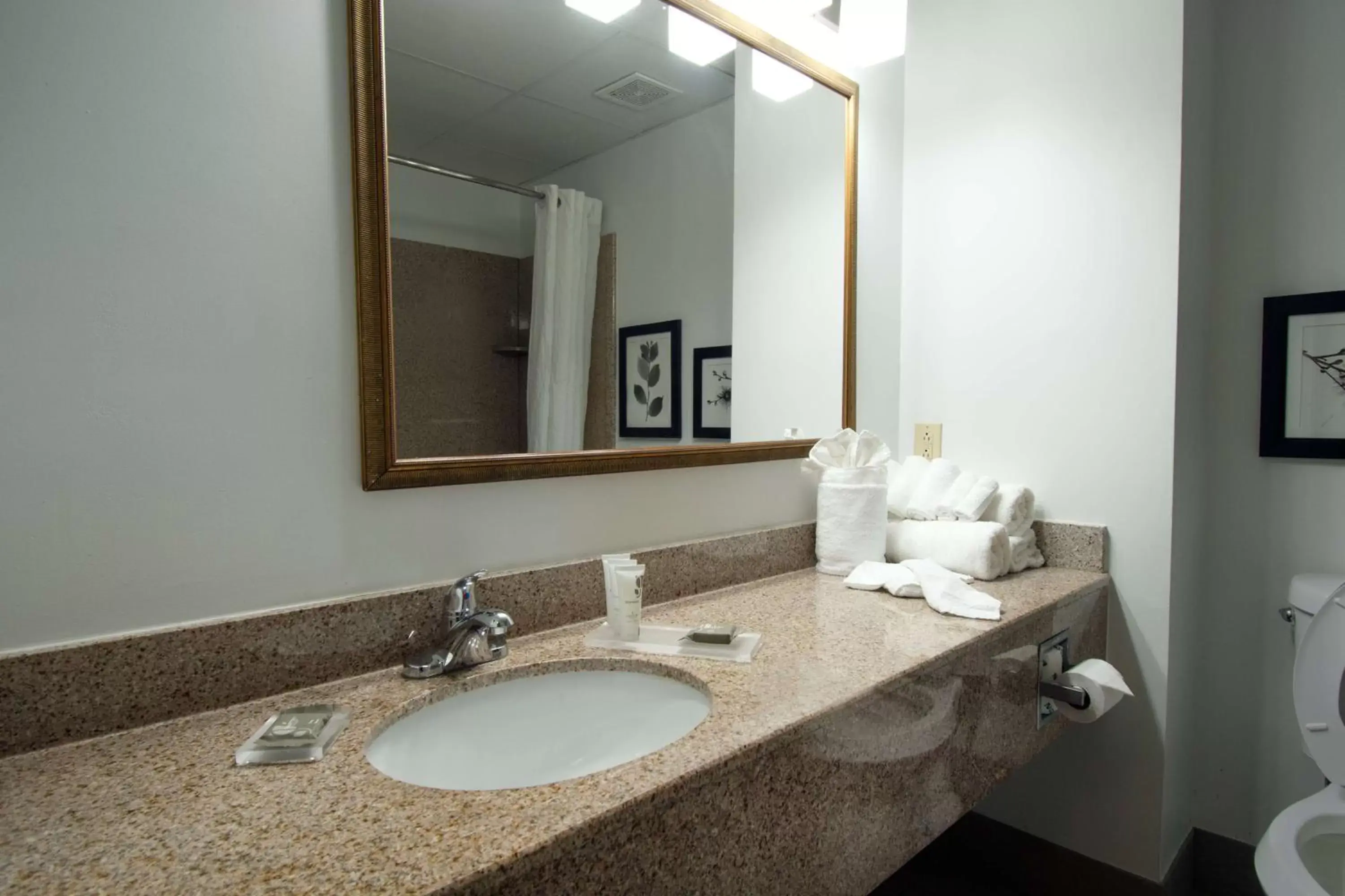 Photo of the whole room, Bathroom in Country Inn & Suites by Radisson, Augusta at I-20, GA