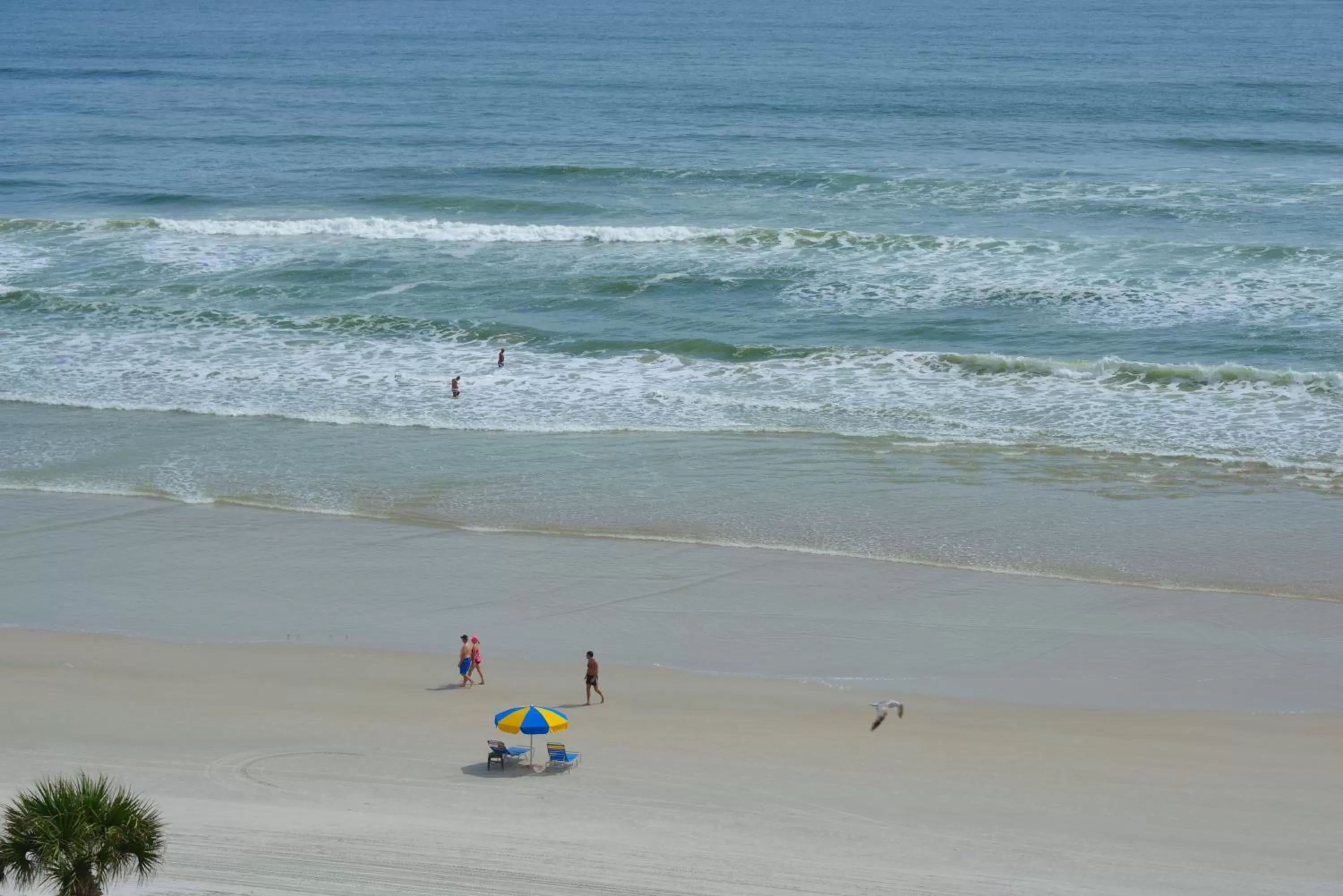 Beach in El Caribe Resort and Conference Center