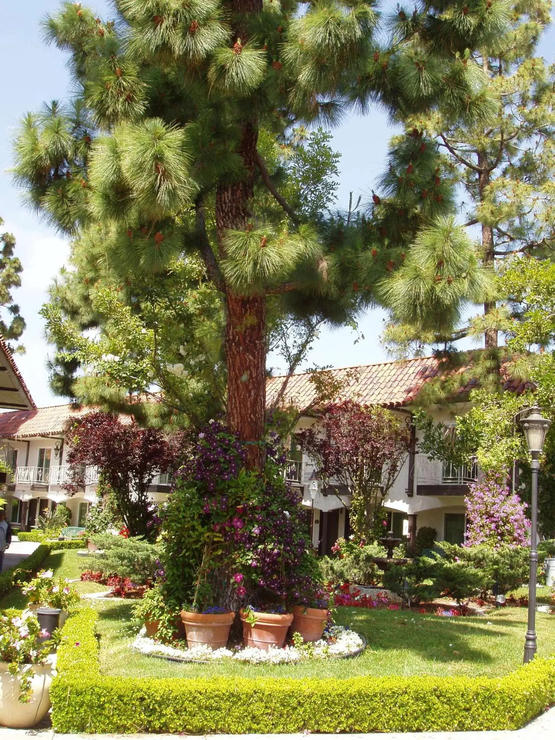 Area and facilities, Garden in Laguna Hills Lodge-Irvine Spectrum