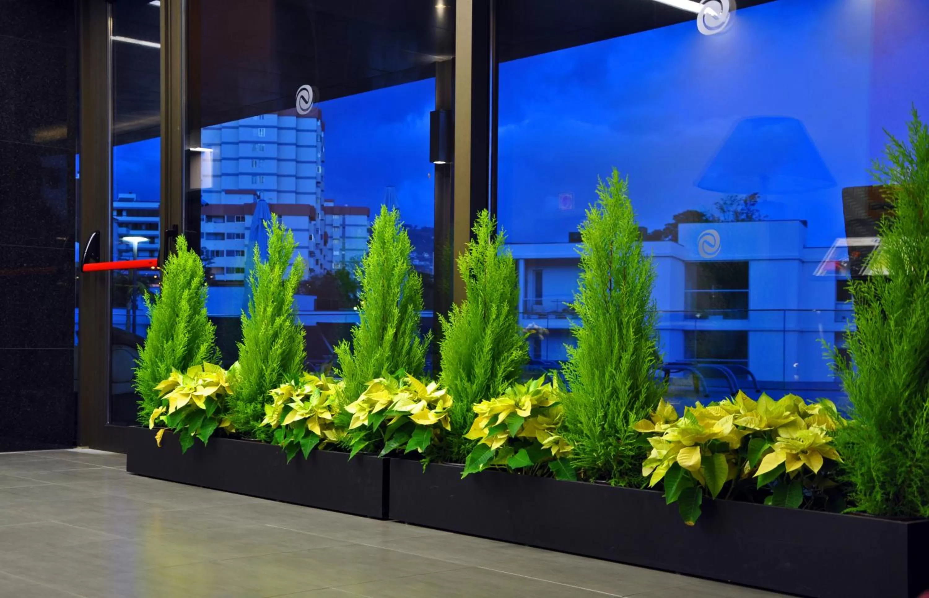 Night in Enotel Magnólia