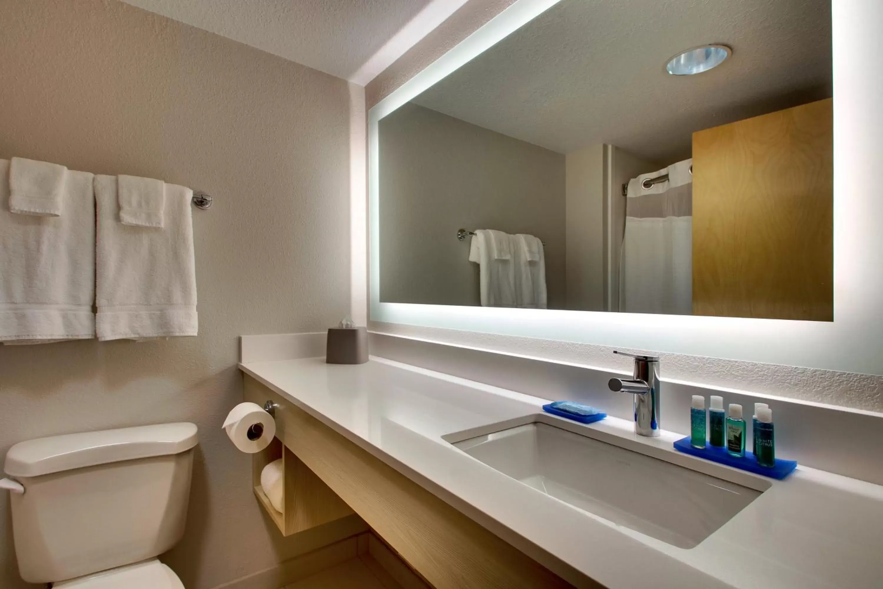 Bathroom in Holiday Inn Express Hotel & Suites Cedar Rapids I-380 at 33rd Avenue, an IHG Hotel