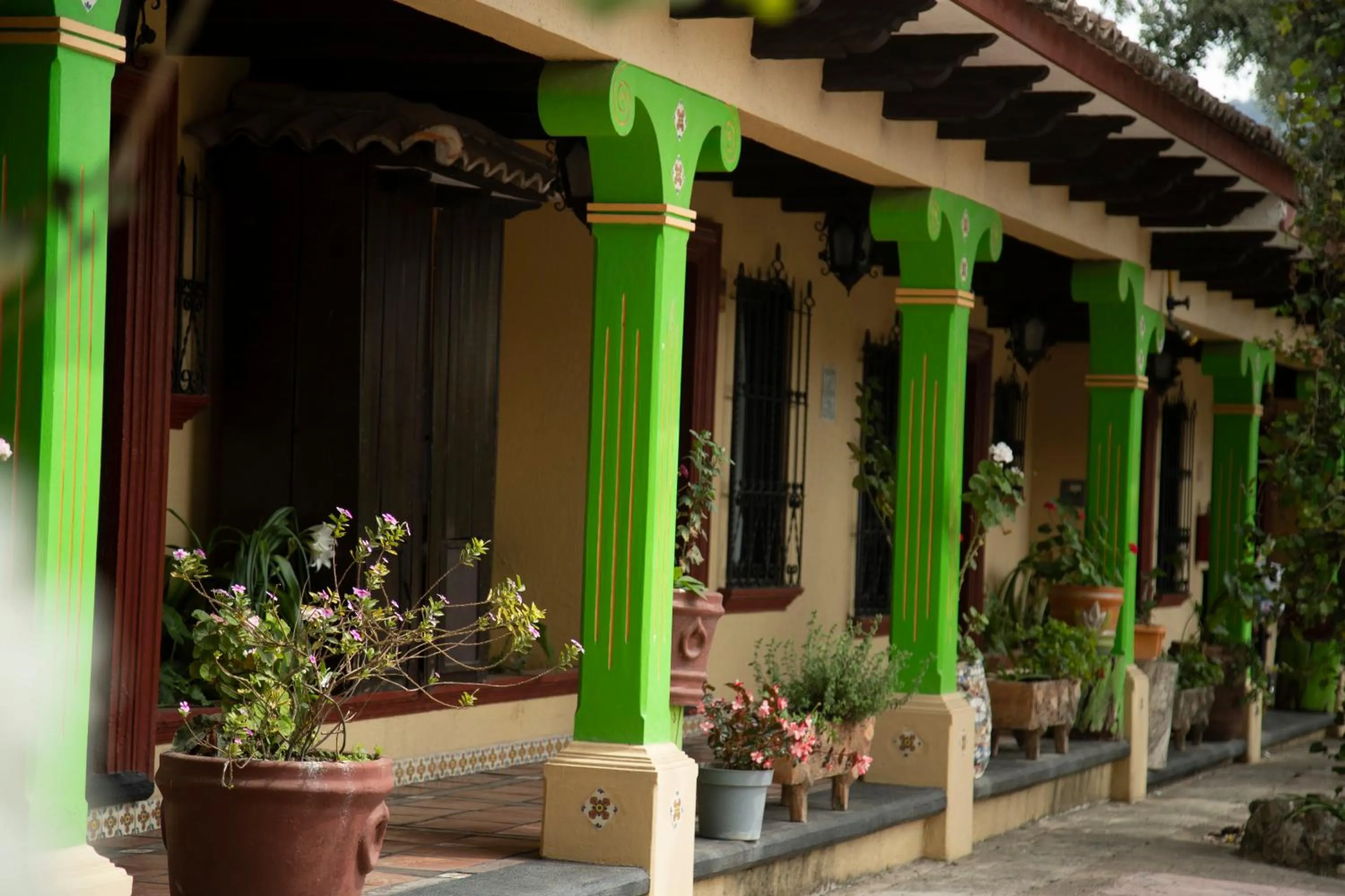 Hotel Y Villas Vanessa