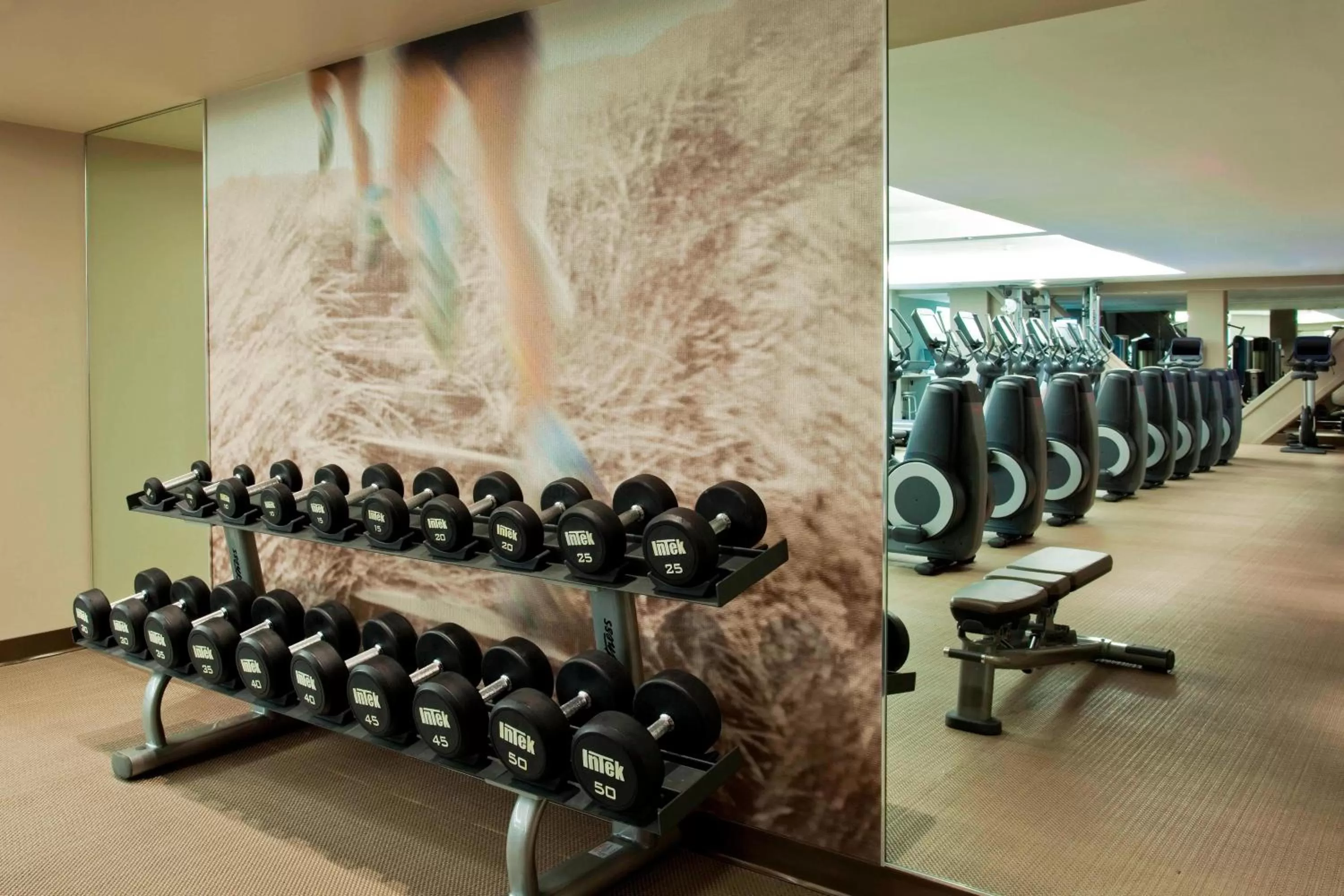 Fitness centre/facilities in The Westin New York at Times Square