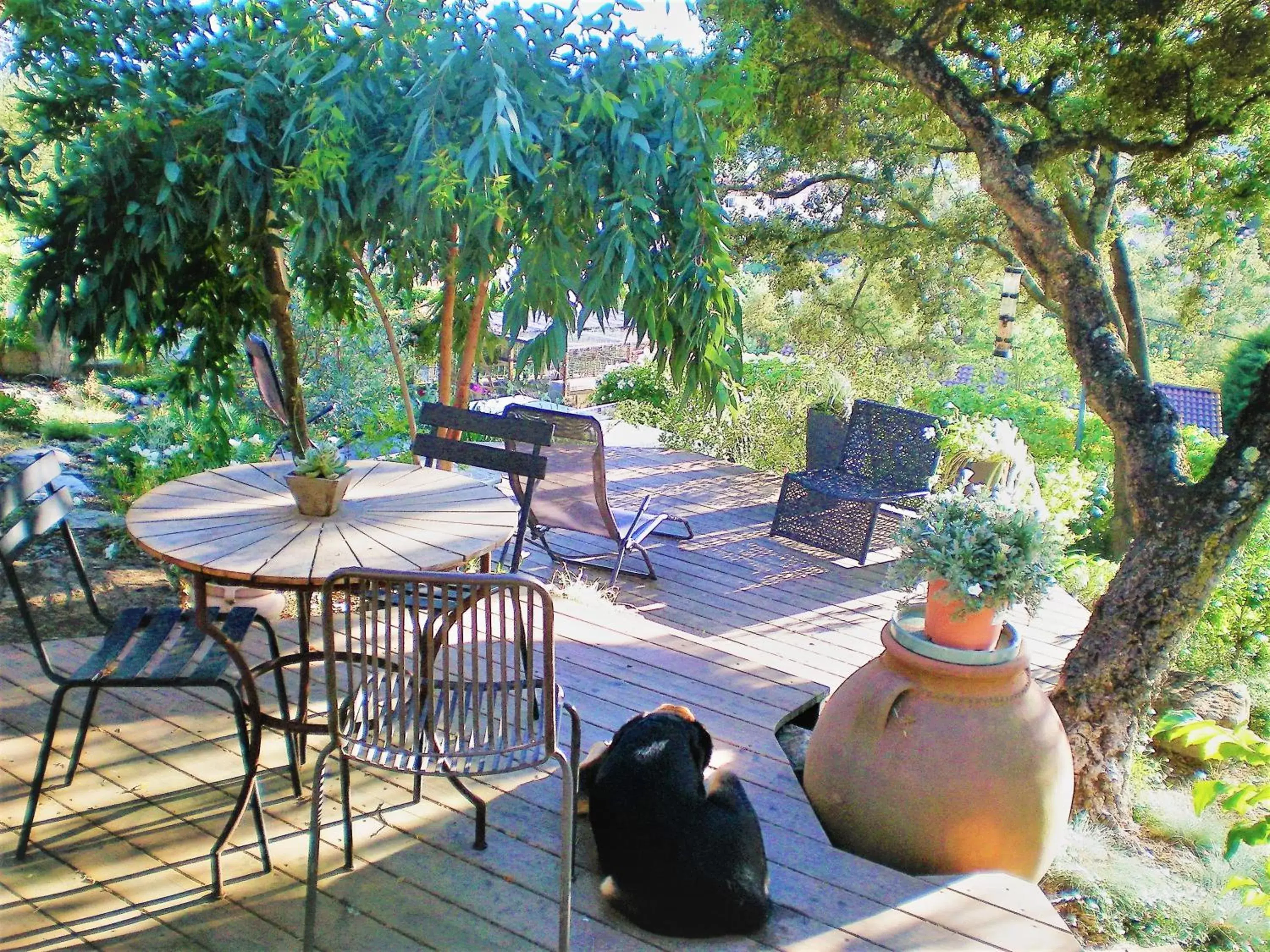 Garden in Au Jardin Des Couleurs