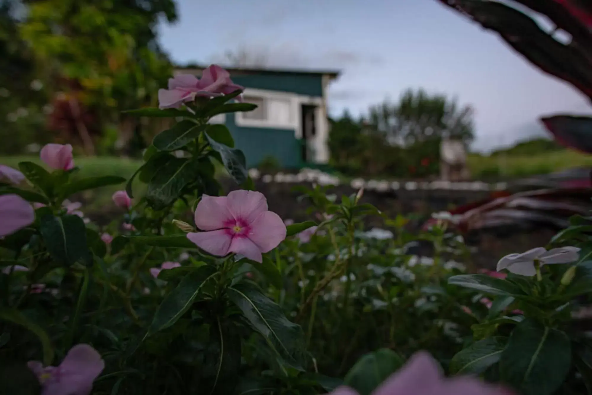 Property Building in God's Peace of Maui