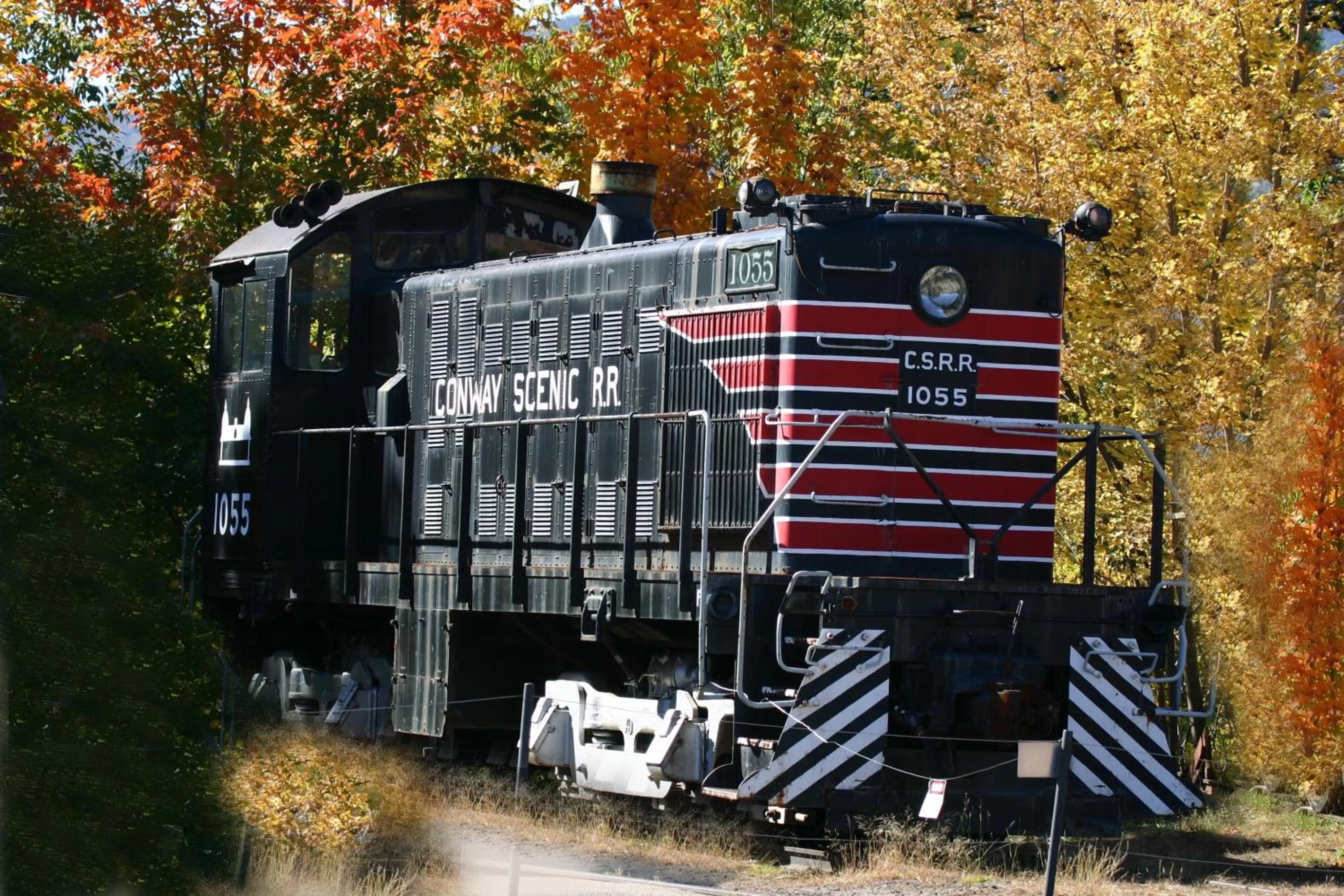 Other in Colonial Motel