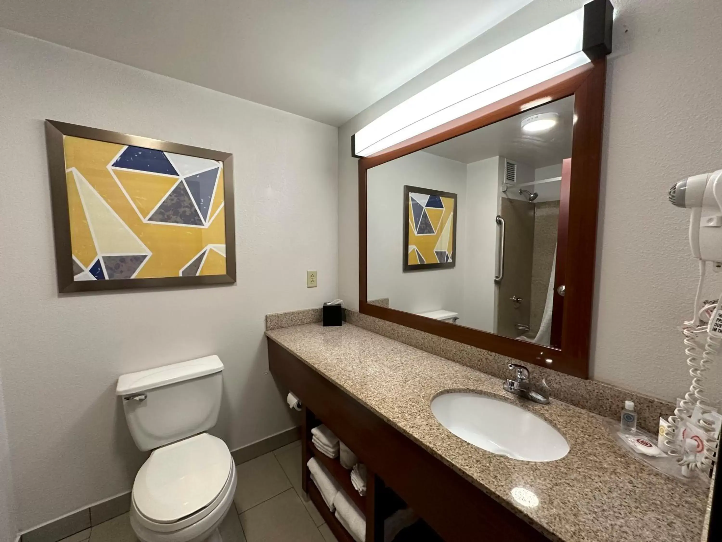 Public Bath, Bathroom in Comfort Suites Jackson - Cape Girardeau