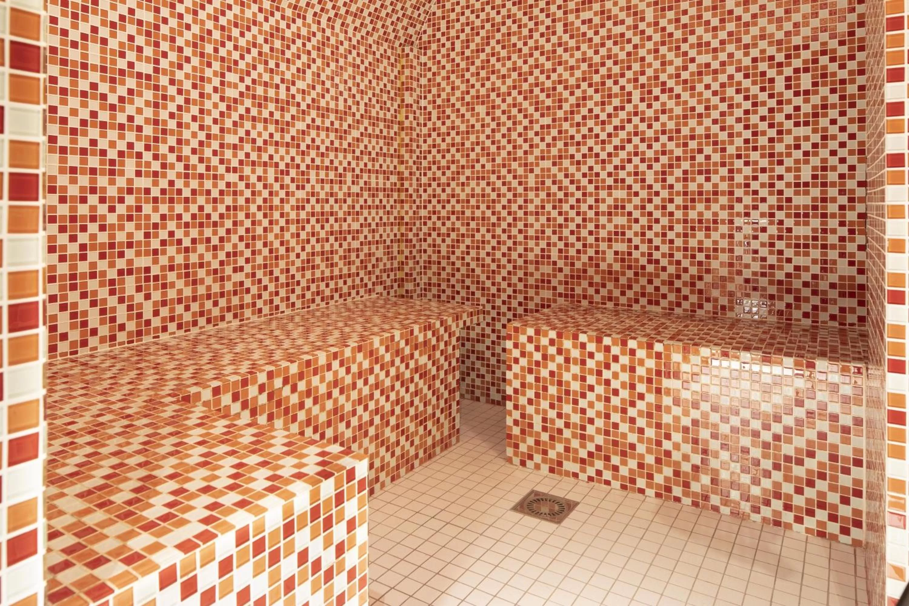 Steam room in Hôtel Elysées Régencia