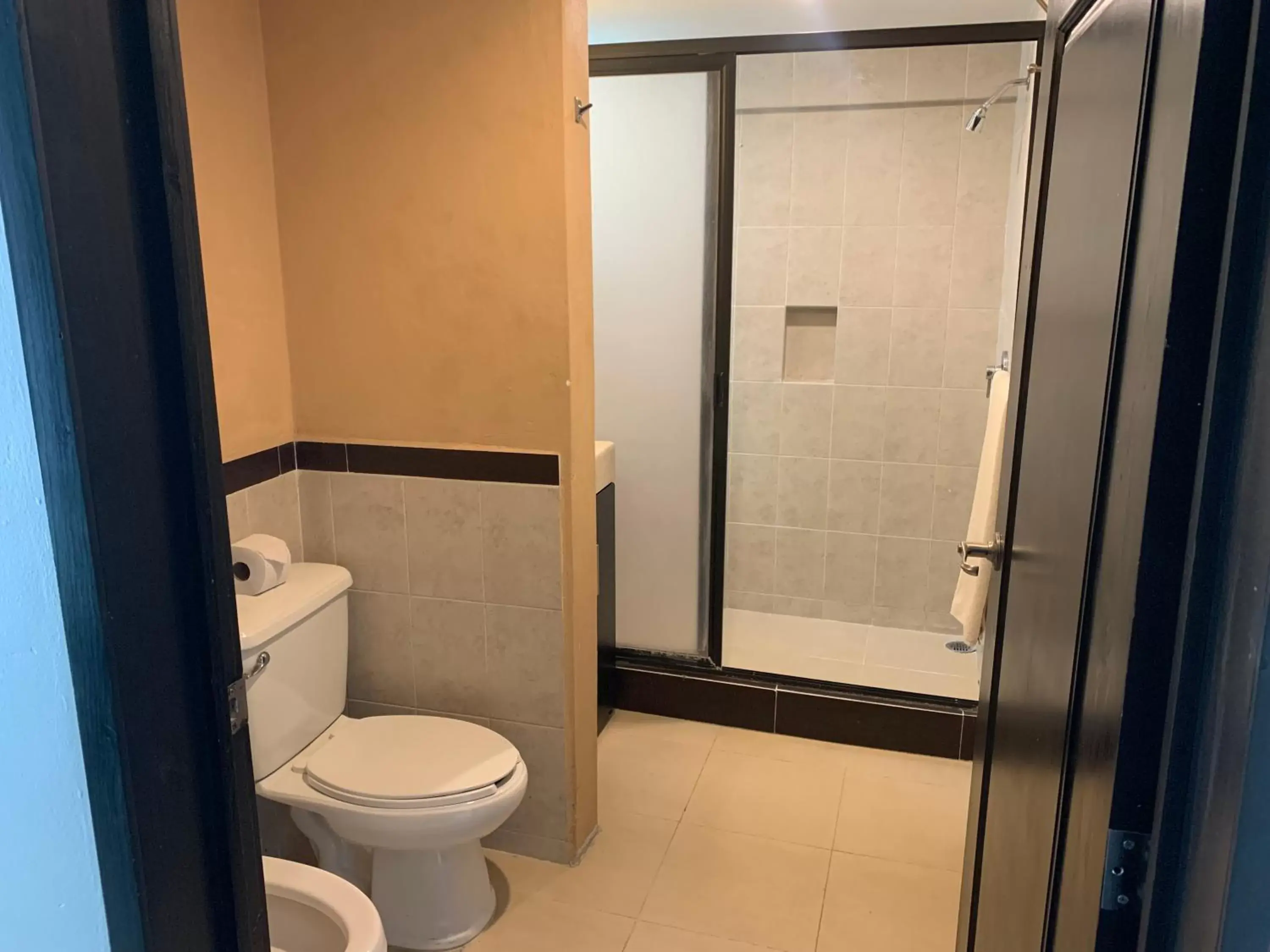 Toilet, Bathroom in Hotel Escala Puebla Centro