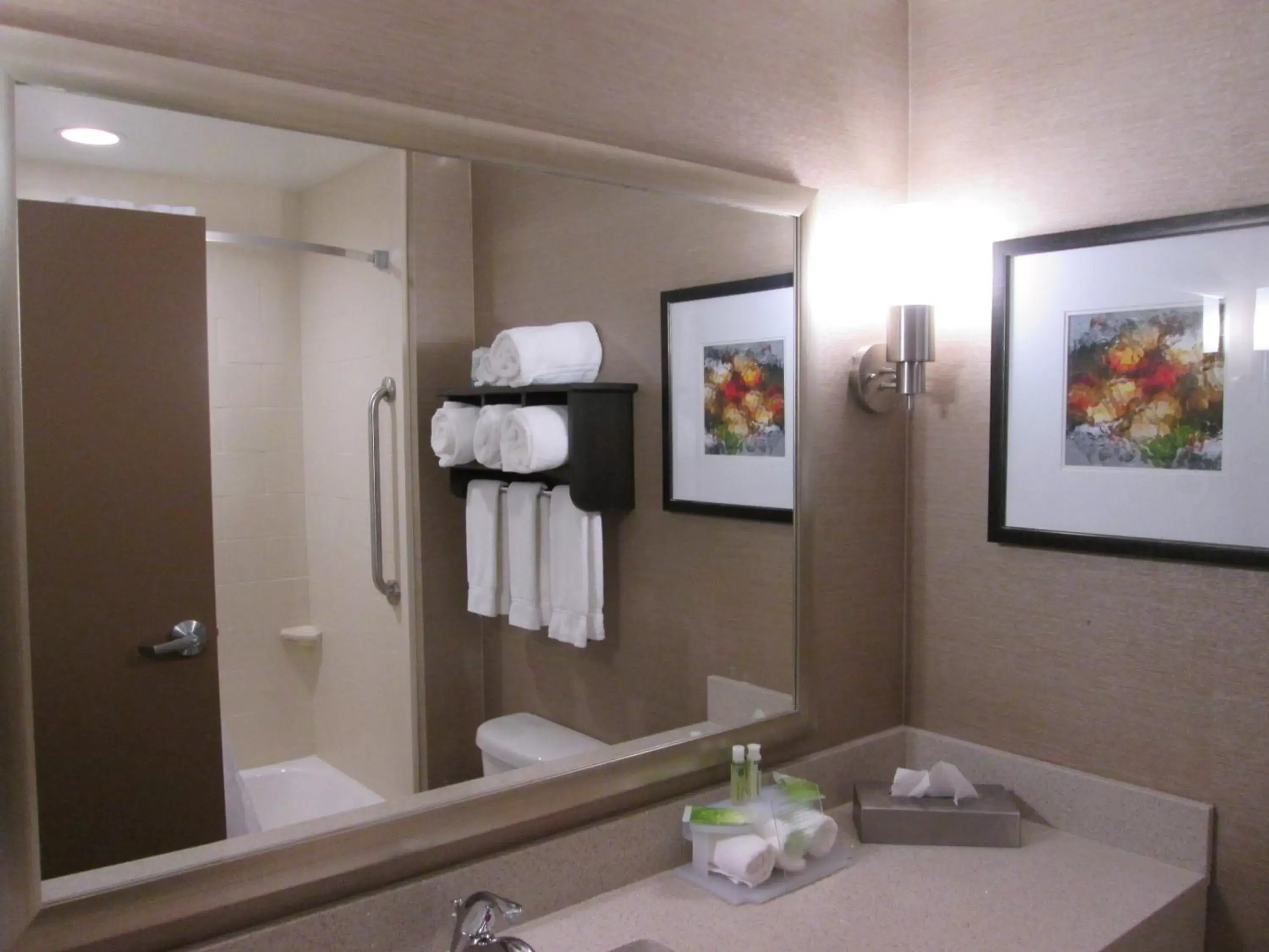 Bathroom in Holiday Inn Express Cloverdale - Greencastle, an IHG Hotel