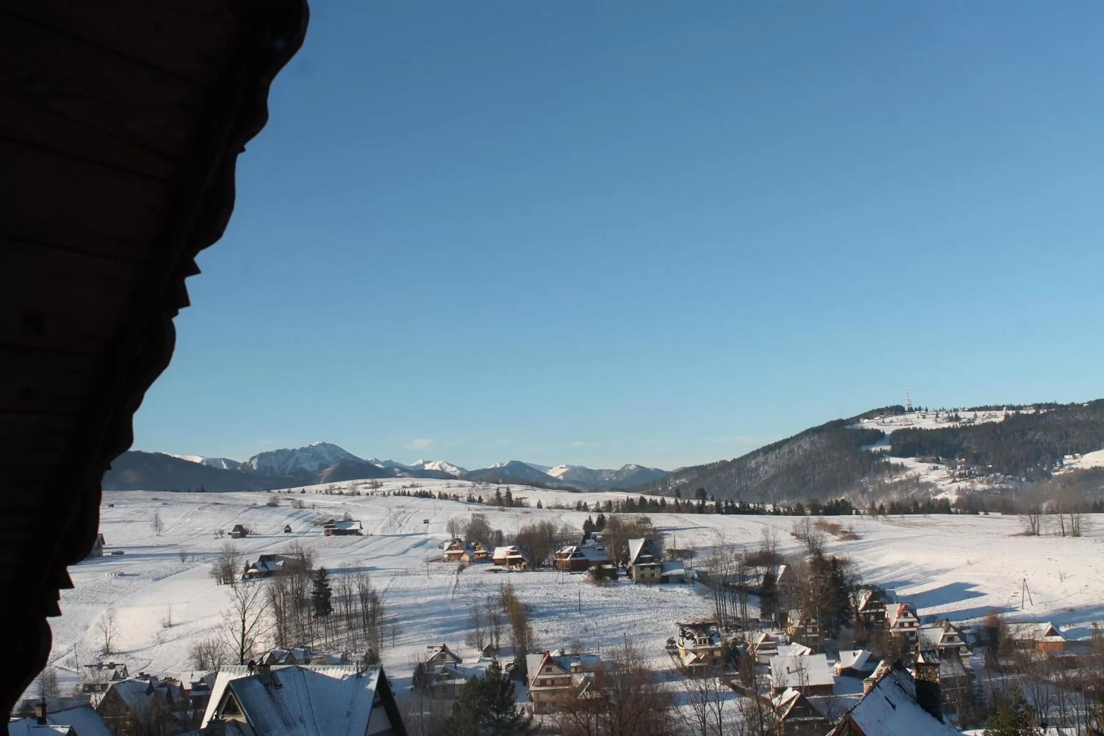 Natural landscape in Willa Grzesiczek