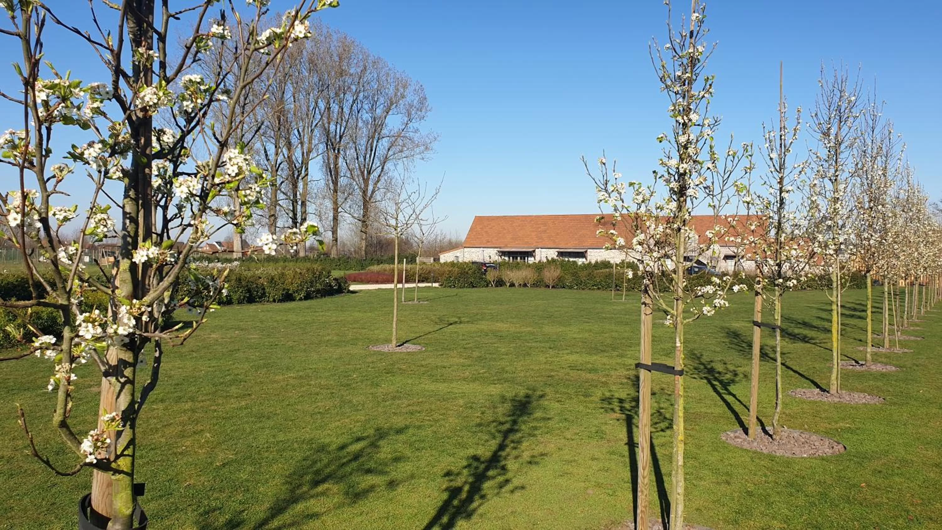Garden in B&B 't Meesterhof