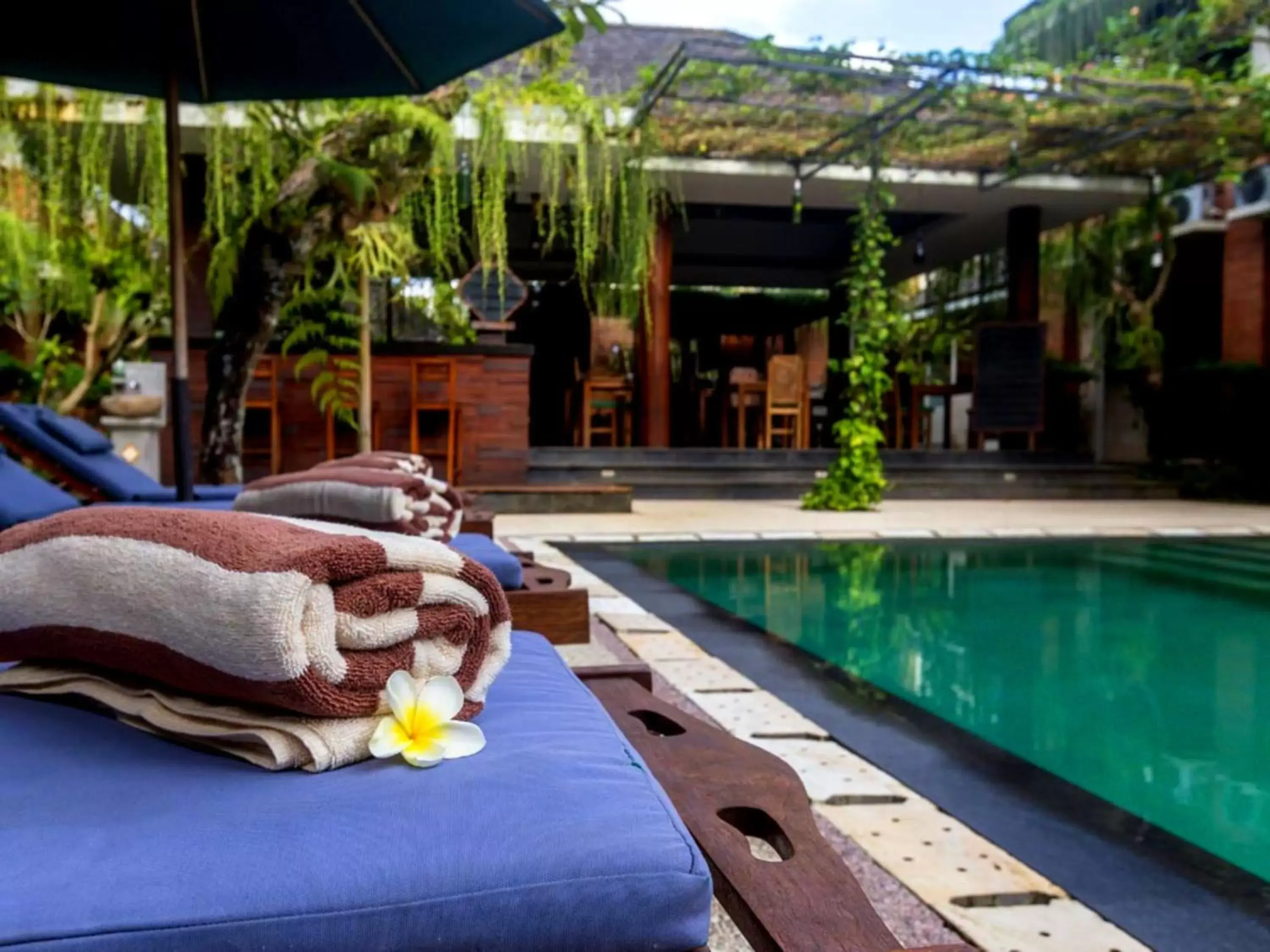 Lounge or bar, Swimming Pool in Awatara Boutique Resort Ubud